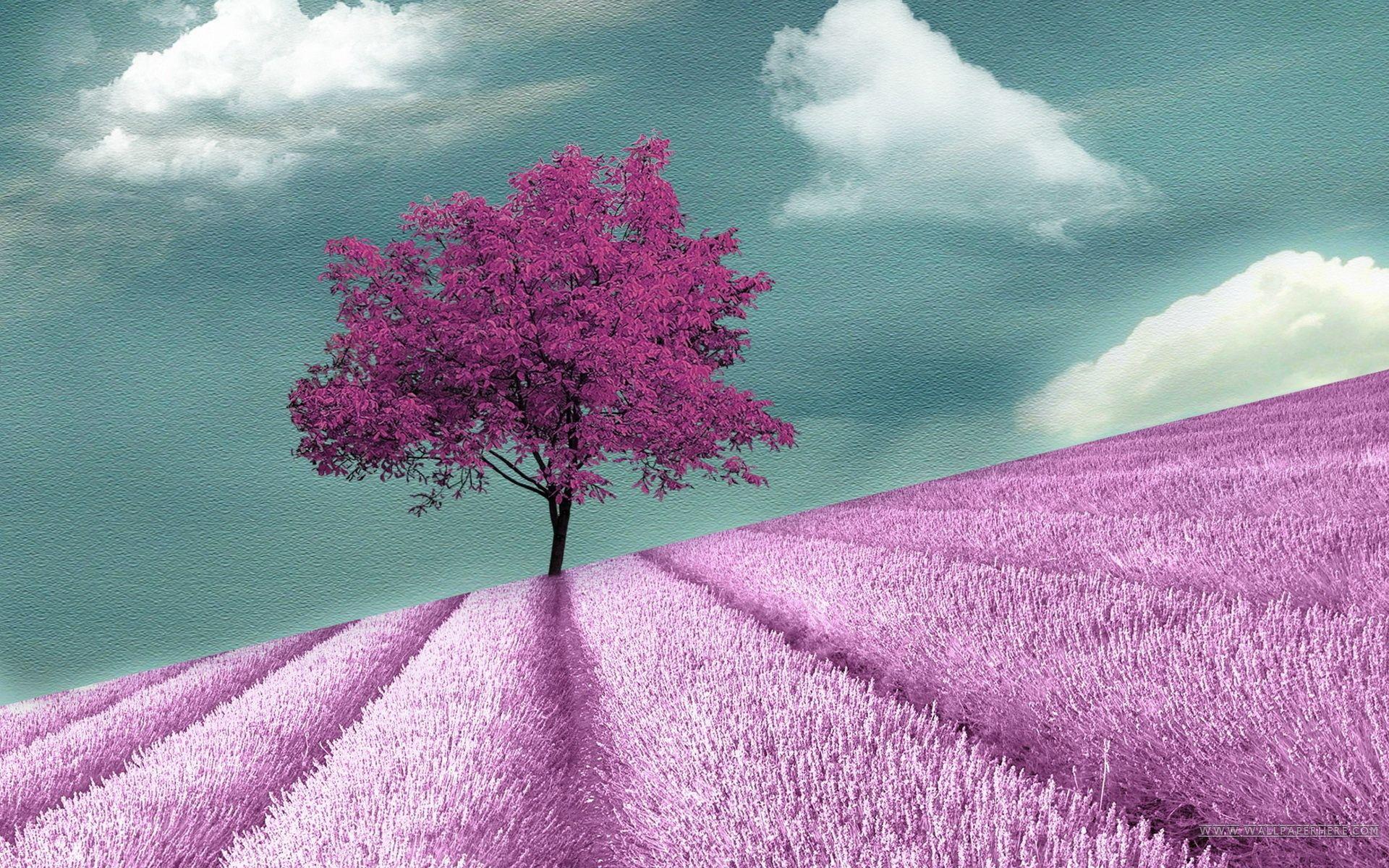4K Purple Tree Wallpapers Top Free 4K Purple Tree Backgrounds