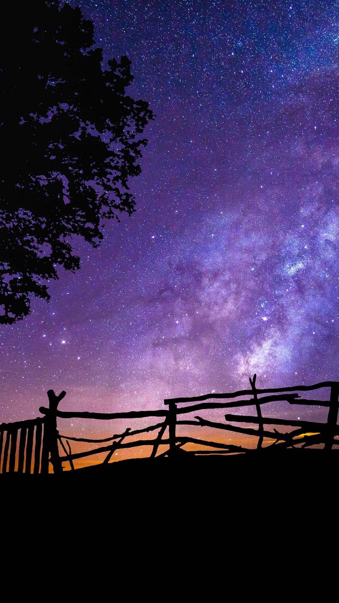 4K Purple Tree Wallpapers Top Free 4K Purple Tree Backgrounds