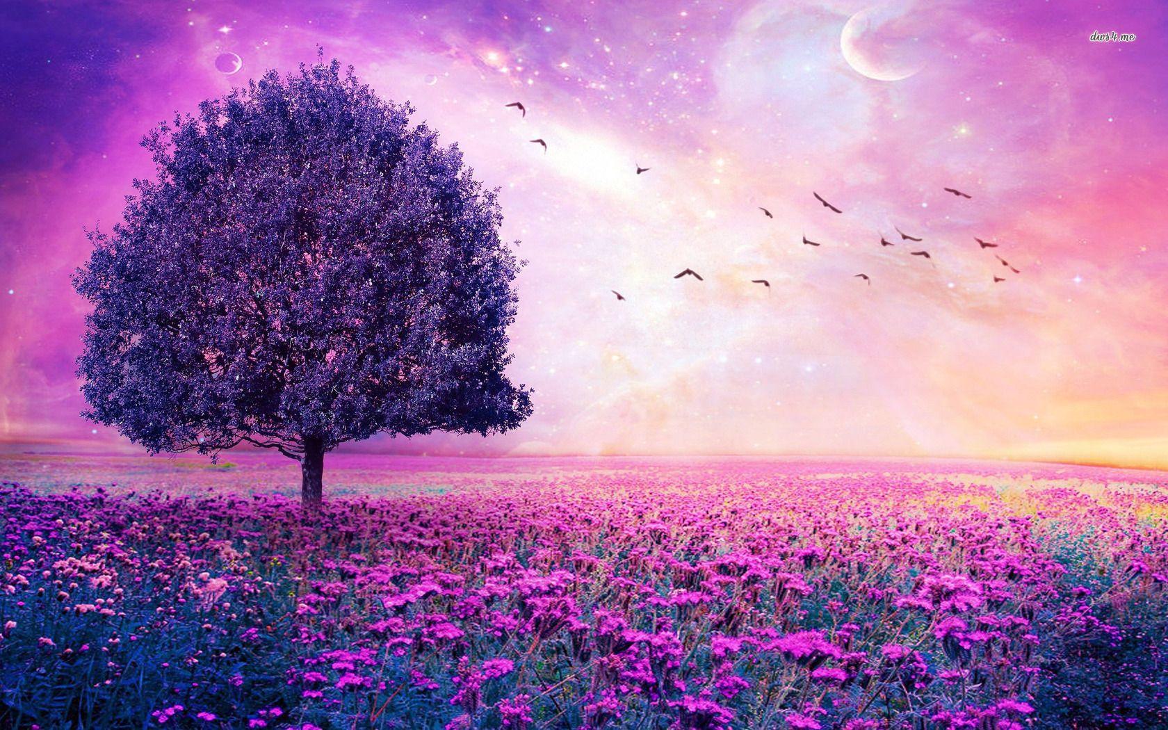 4K Purple Tree Wallpapers Top Free 4K Purple Tree Backgrounds
