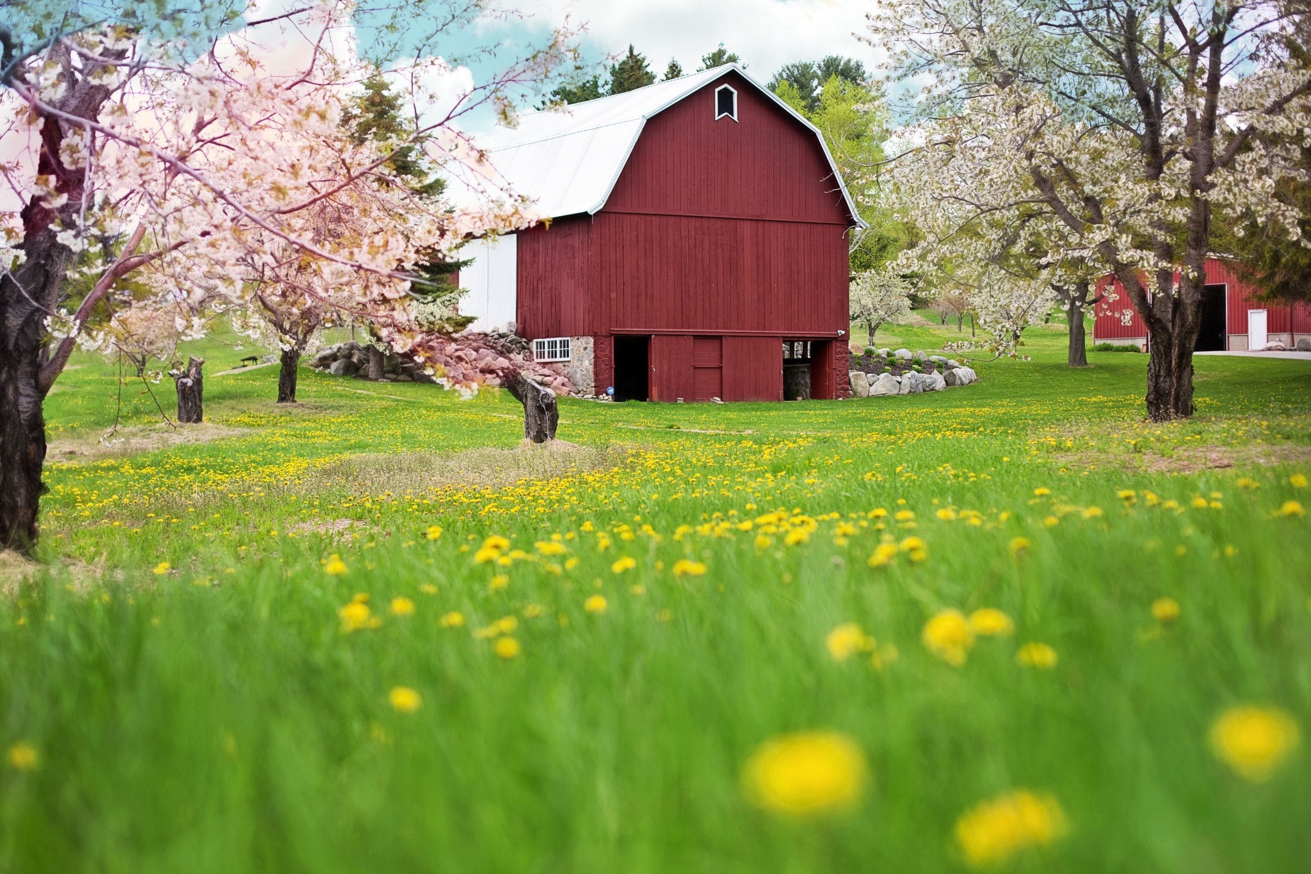 Spring Barn Wallpapers Top Free Spring Barn Backgrounds WallpaperAccess