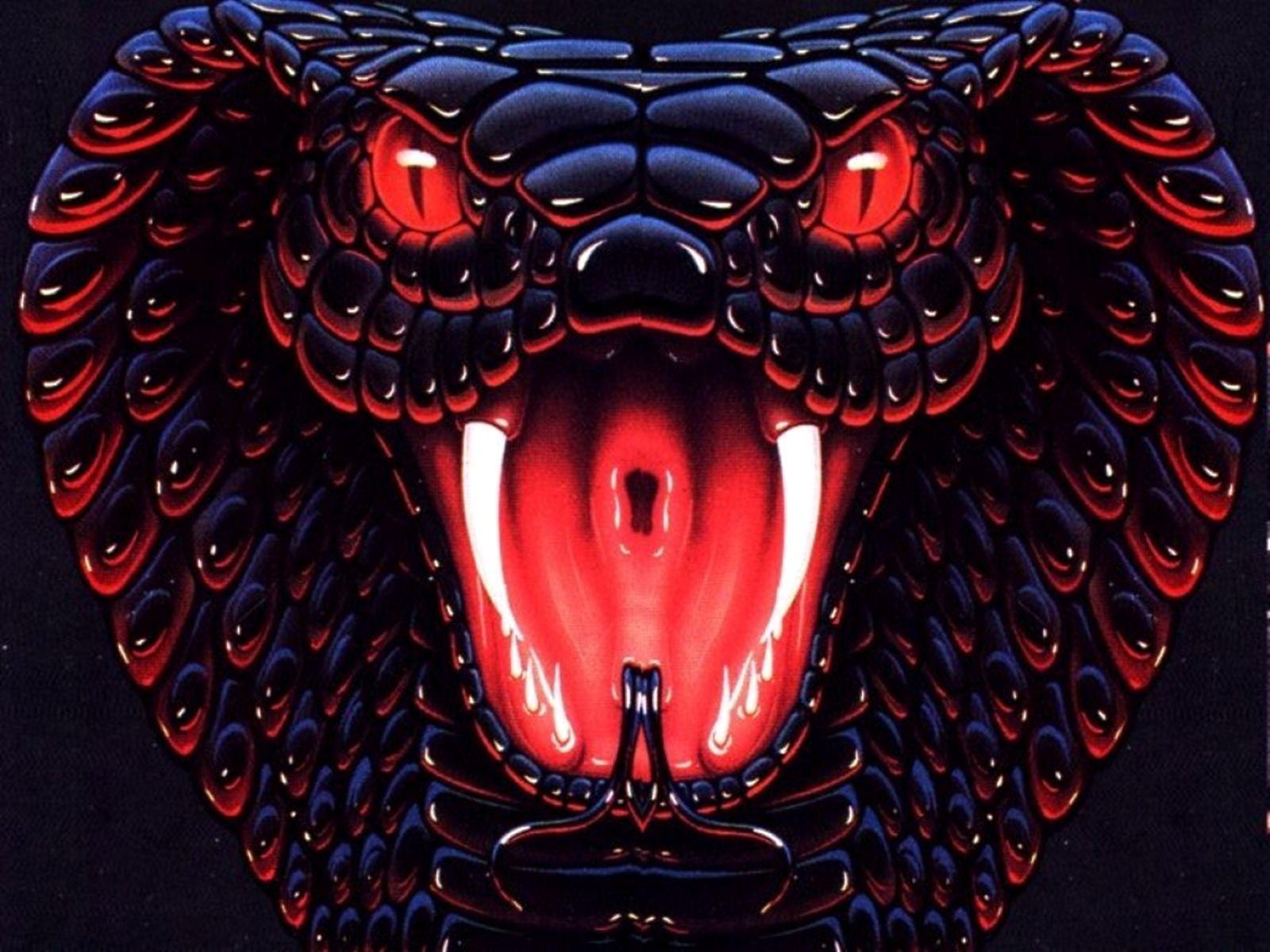 Black and Red Snake Wallpapers Top Free Black and Red Snake