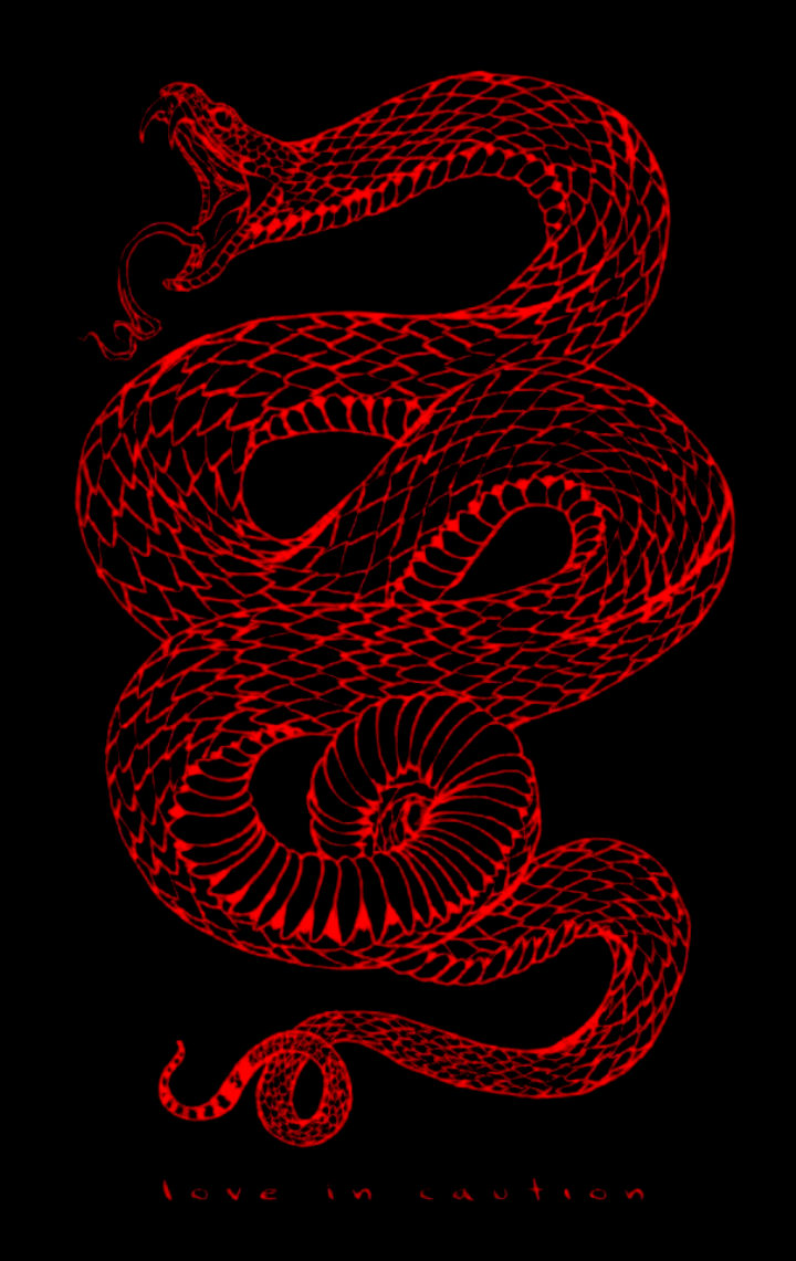 Black and Red Snake Wallpapers Top Free Black and Red Snake