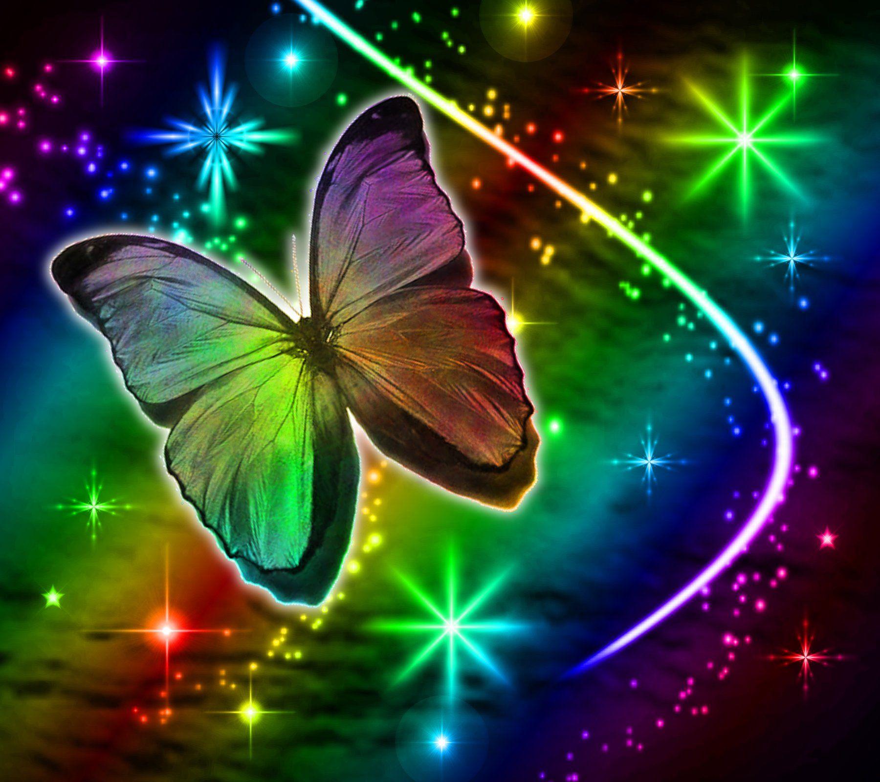 Cool Butterfly Wallpapers Top Free Cool Butterfly Backgrounds
