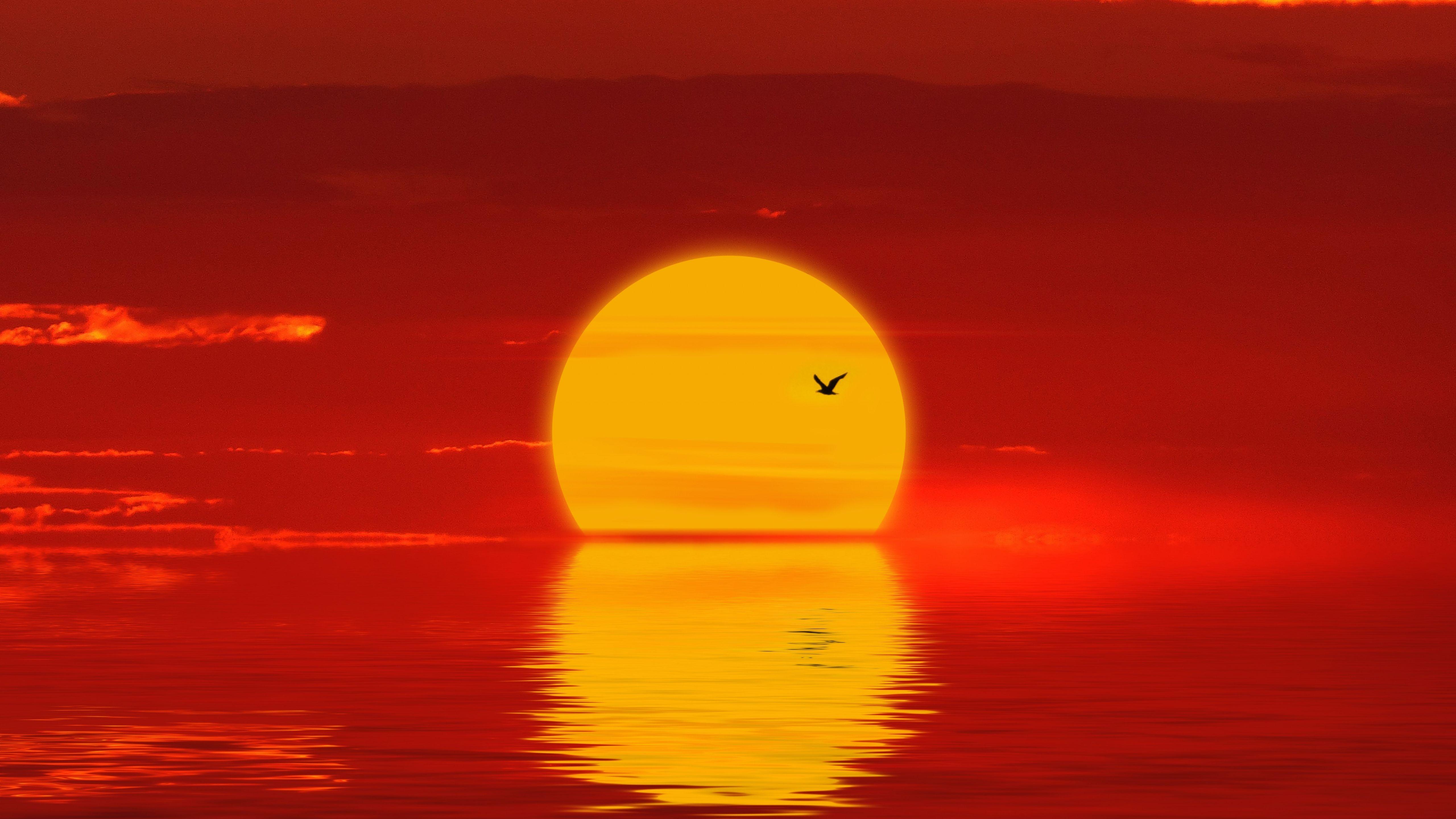 Yellow Sunset Wallpapers Top Free Yellow Sunset Backgrounds WallpaperAccess