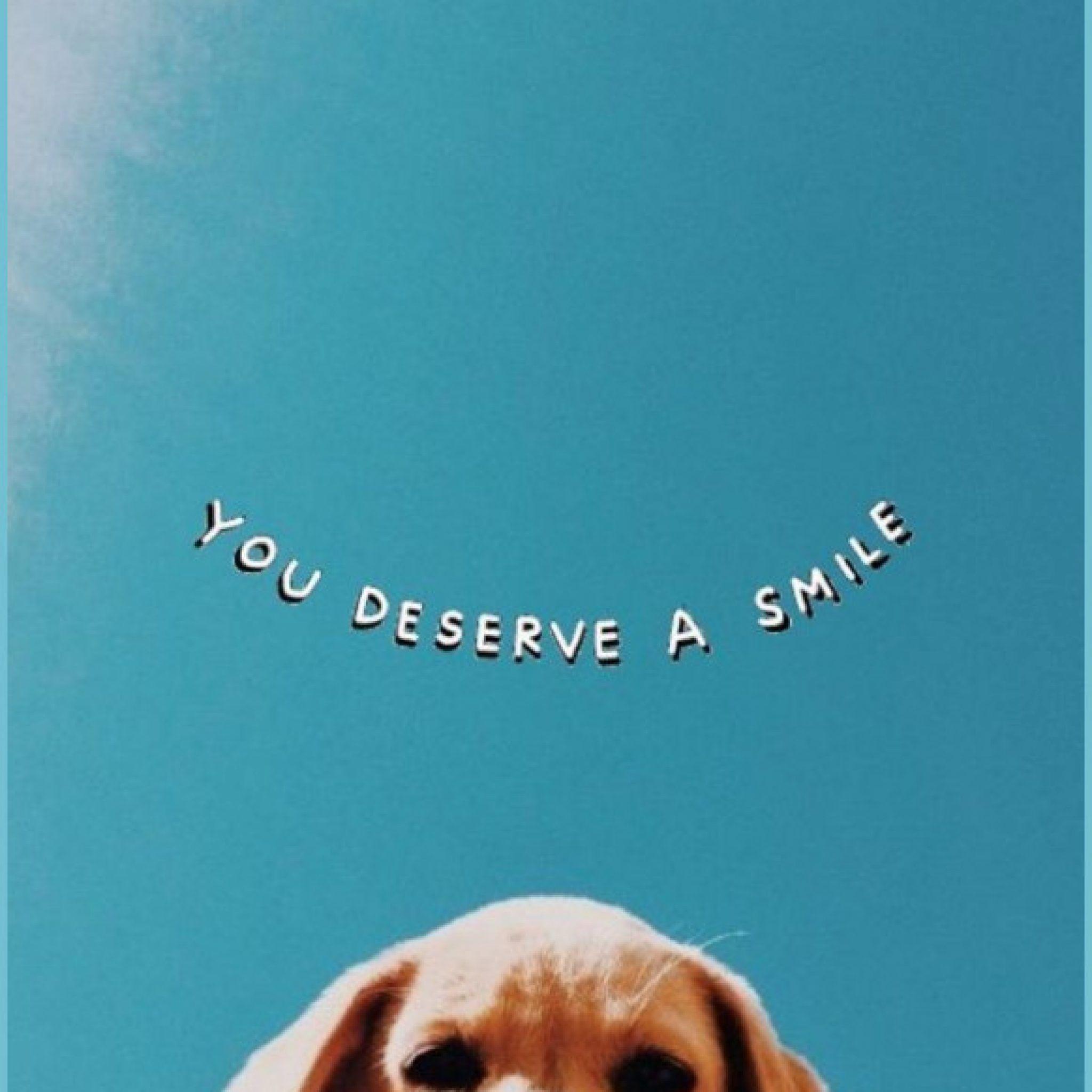 Aesthetic Dogs Wallpapers Top Free Aesthetic Dogs Backgrounds