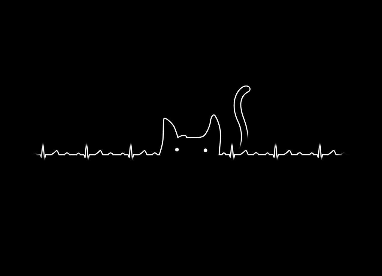 Aesthetic Cats Computer Wallpapers Top Free Aesthetic Cats Computer Backgrounds WallpaperAccess