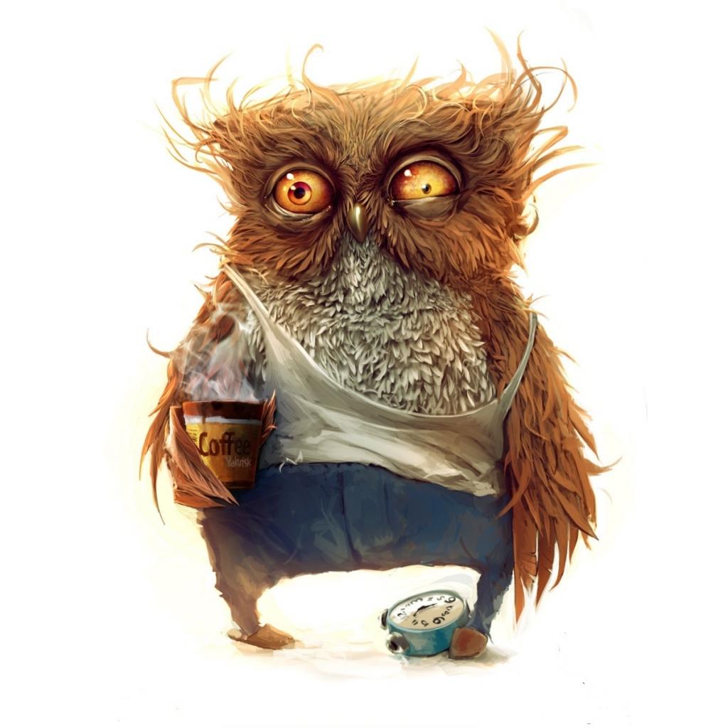 Coffee Owl Wallpapers Top Free Coffee Owl Backgrounds WallpaperAccess