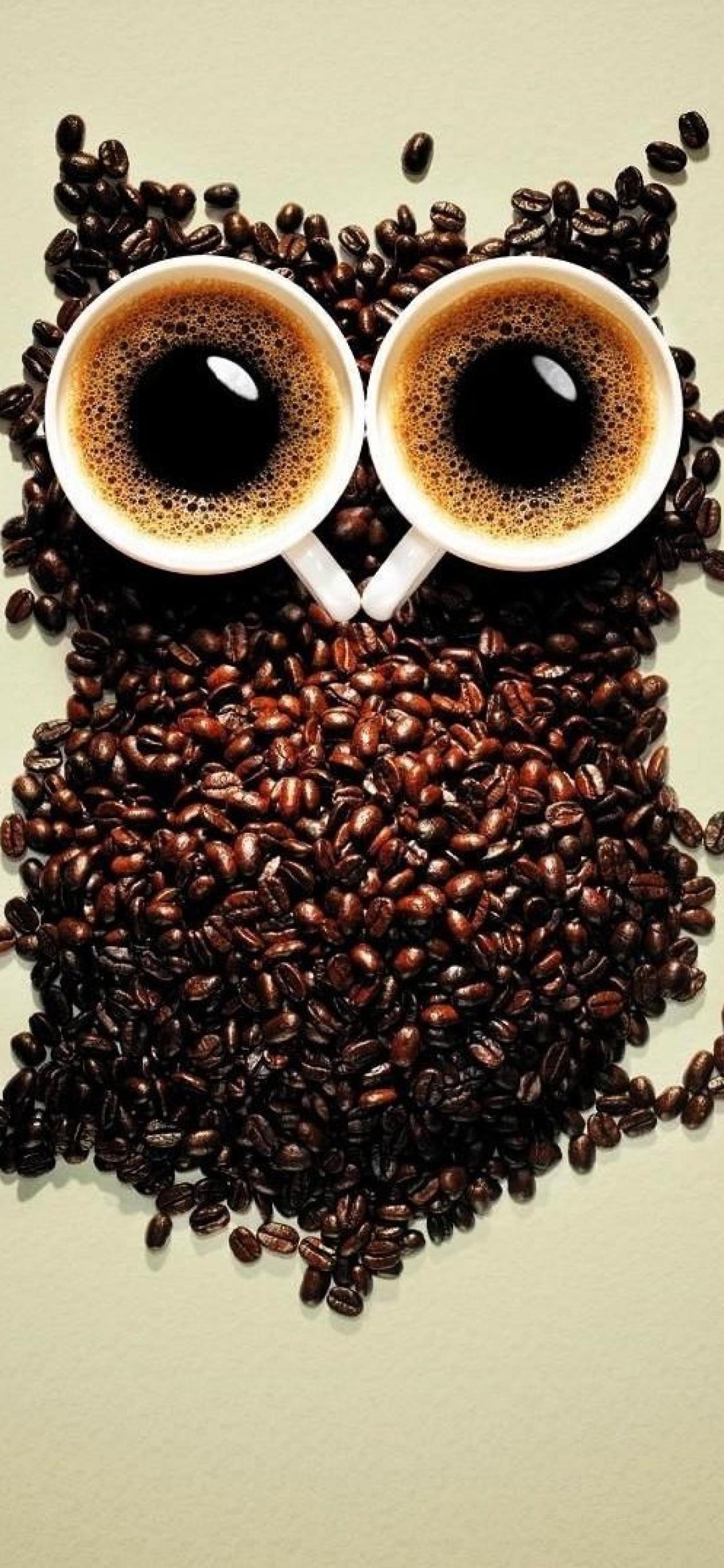 Coffee Owl Wallpapers Top Free Coffee Owl Backgrounds WallpaperAccess