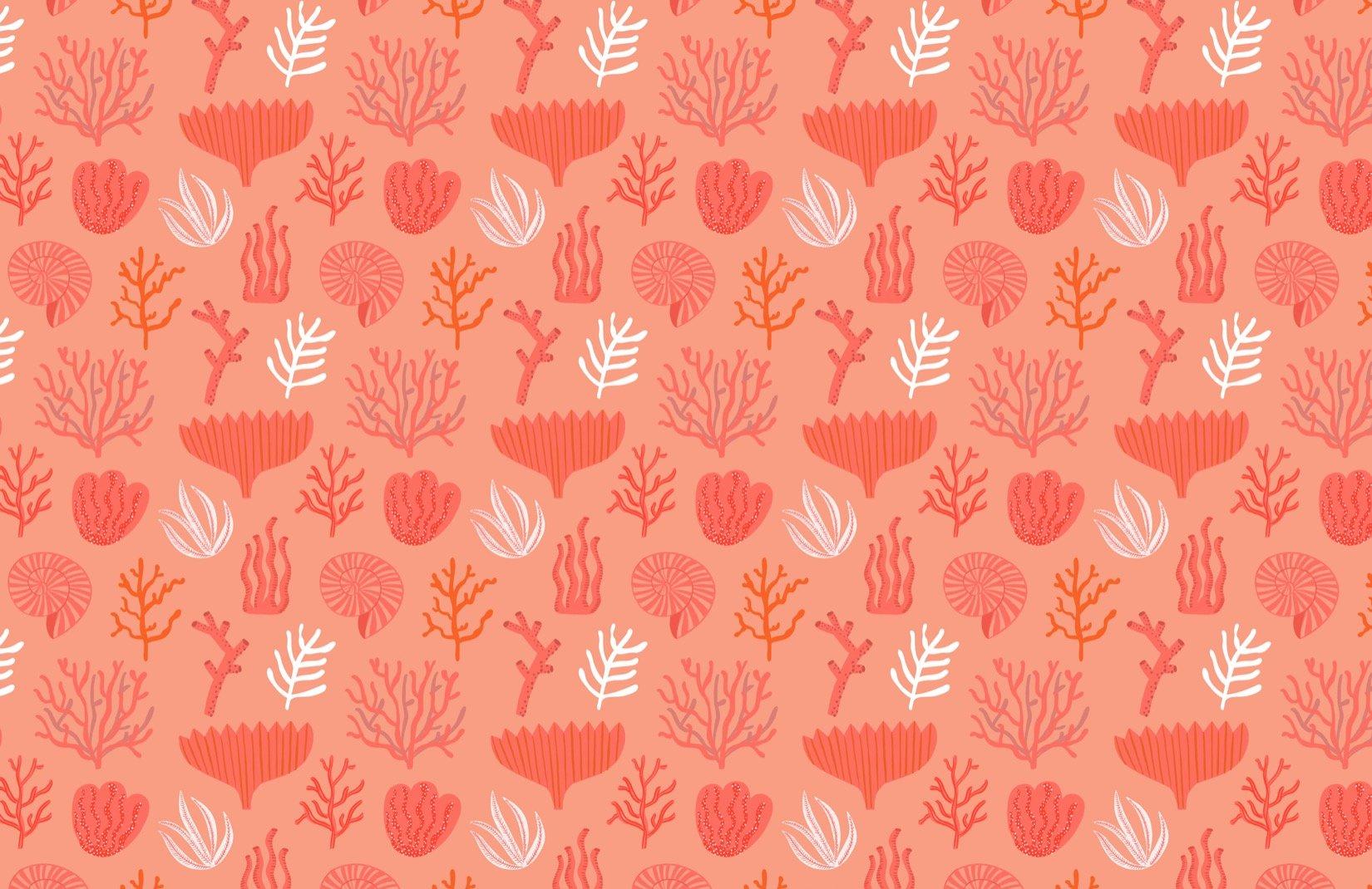 Cute Coral Wallpapers Top Free Cute Coral Backgrounds WallpaperAccess