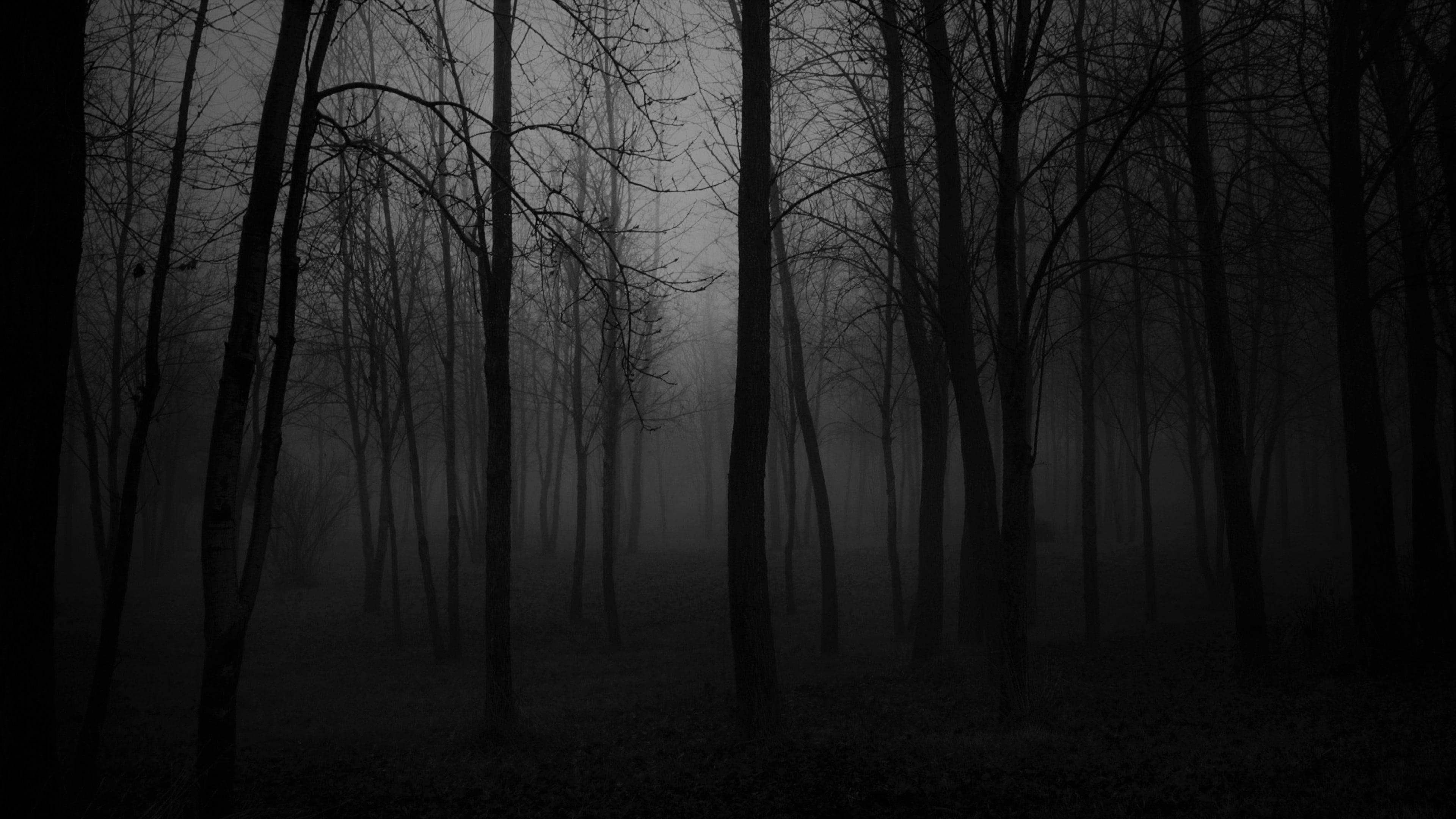 Black Fog Wallpapers Top Free Black Fog Backgrounds WallpaperAccess