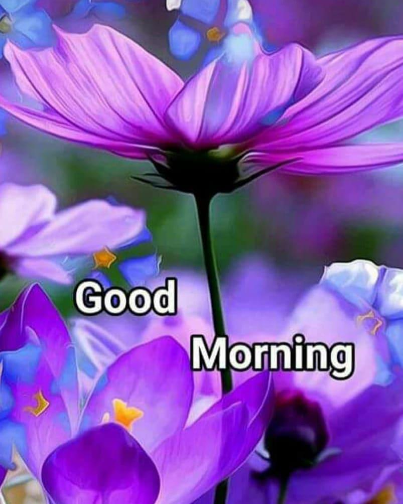 Top 999+ good morning images with birds and flowers Amazing