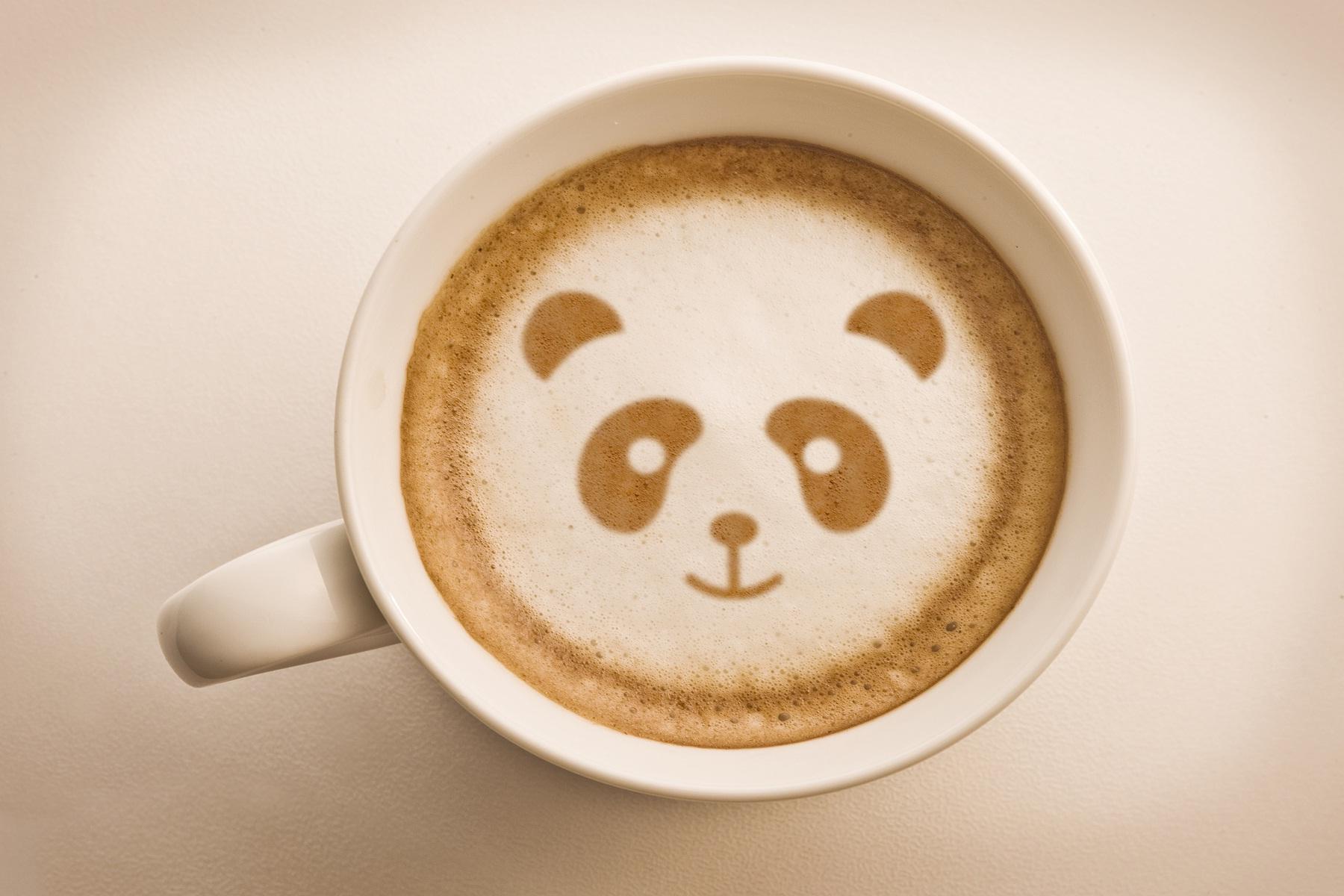 Funny Coffee Wallpapers Top Free Funny Coffee Backgrounds WallpaperAccess