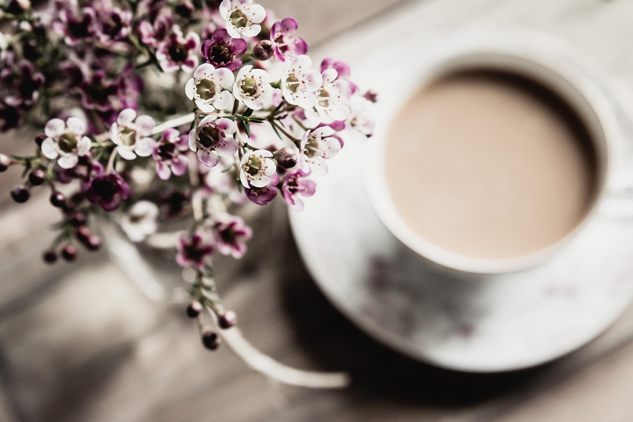 Spring Coffee Wallpapers Top Free Spring Coffee Backgrounds