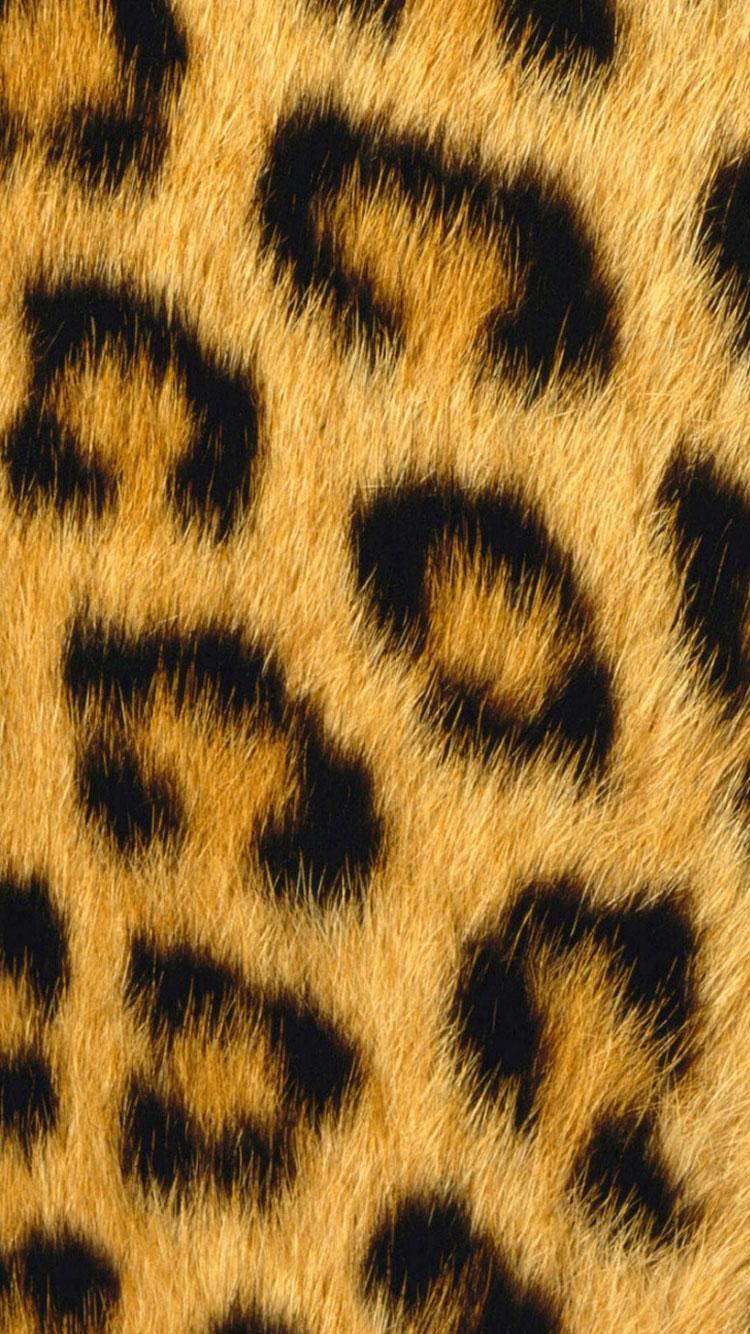 Glitter Leopard iPhone Wallpapers Top Free Glitter Leopard iPhone