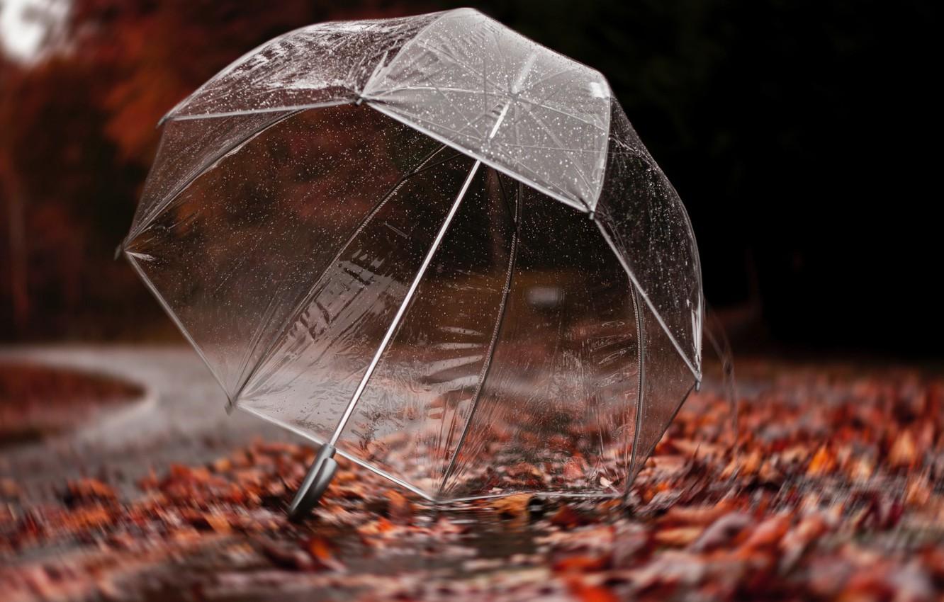 Rainy Umbrella Wallpapers Top Free Rainy Umbrella Backgrounds