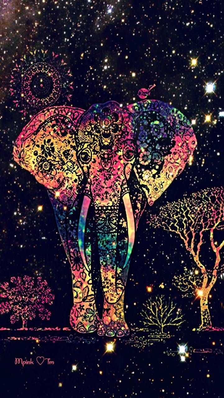 Cool Elephant Phone Wallpapers Top Free Cool Elephant Phone