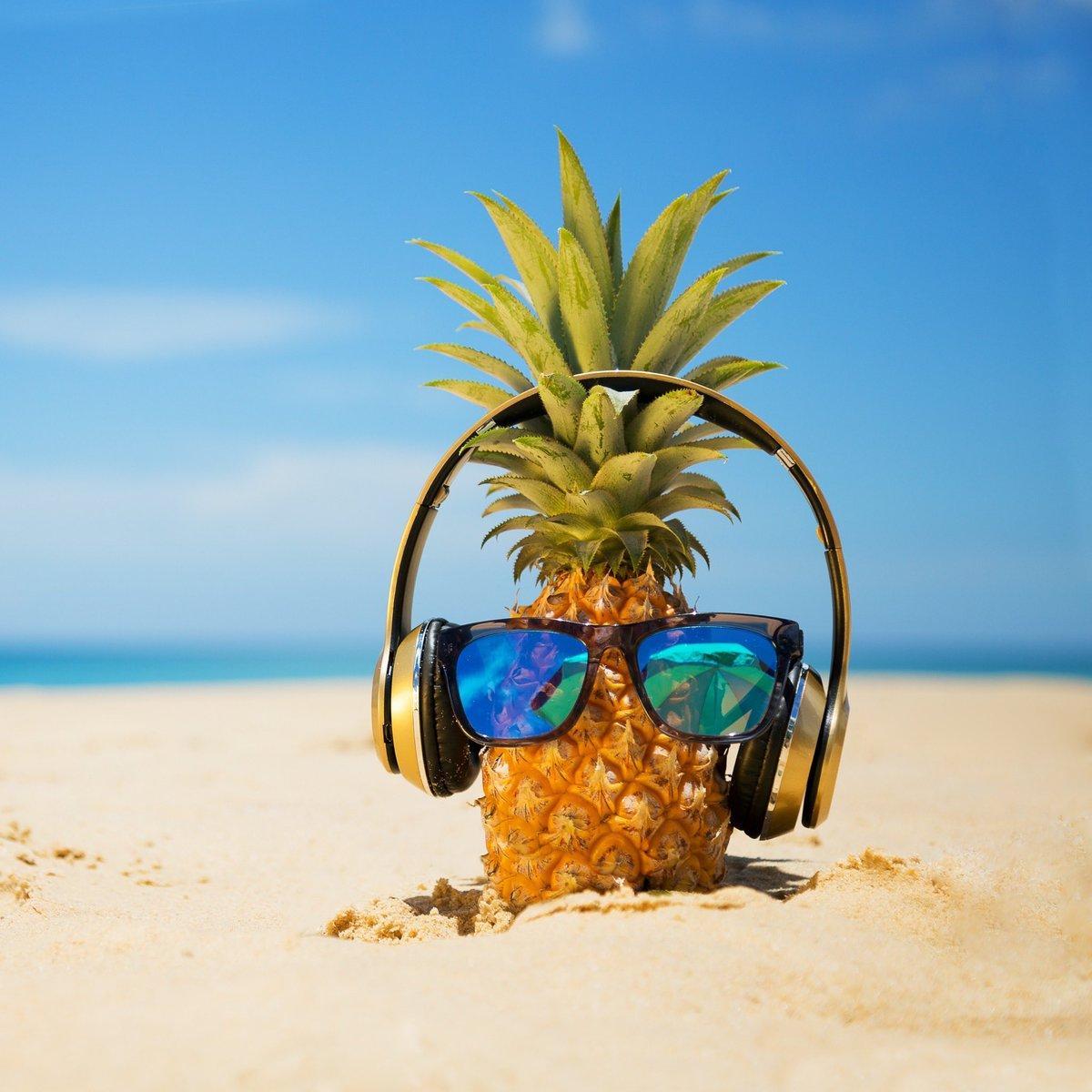 Pineapple with Sunglasses Wallpapers Top Free Pineapple with