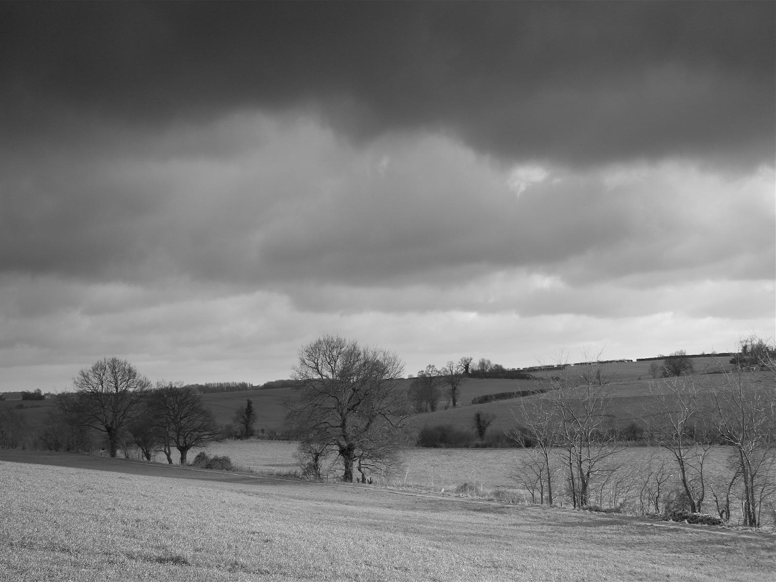 Gray Nature Wallpapers Top Free Gray Nature Backgrounds WallpaperAccess