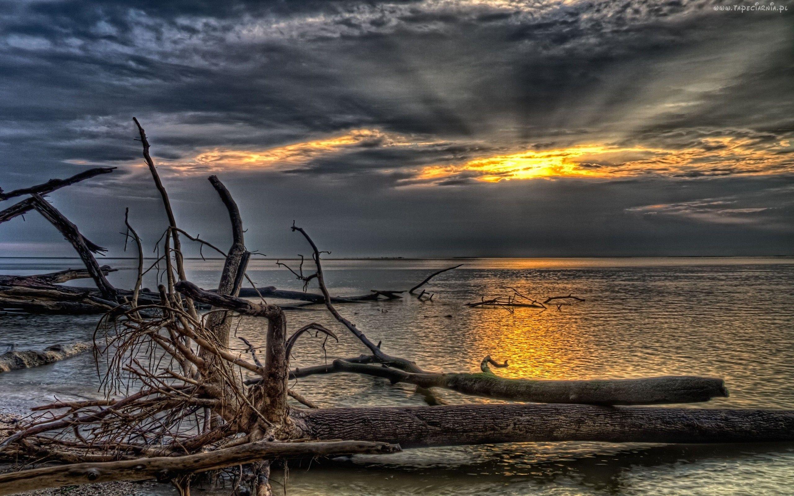 Gray Nature Wallpapers Top Free Gray Nature Backgrounds WallpaperAccess