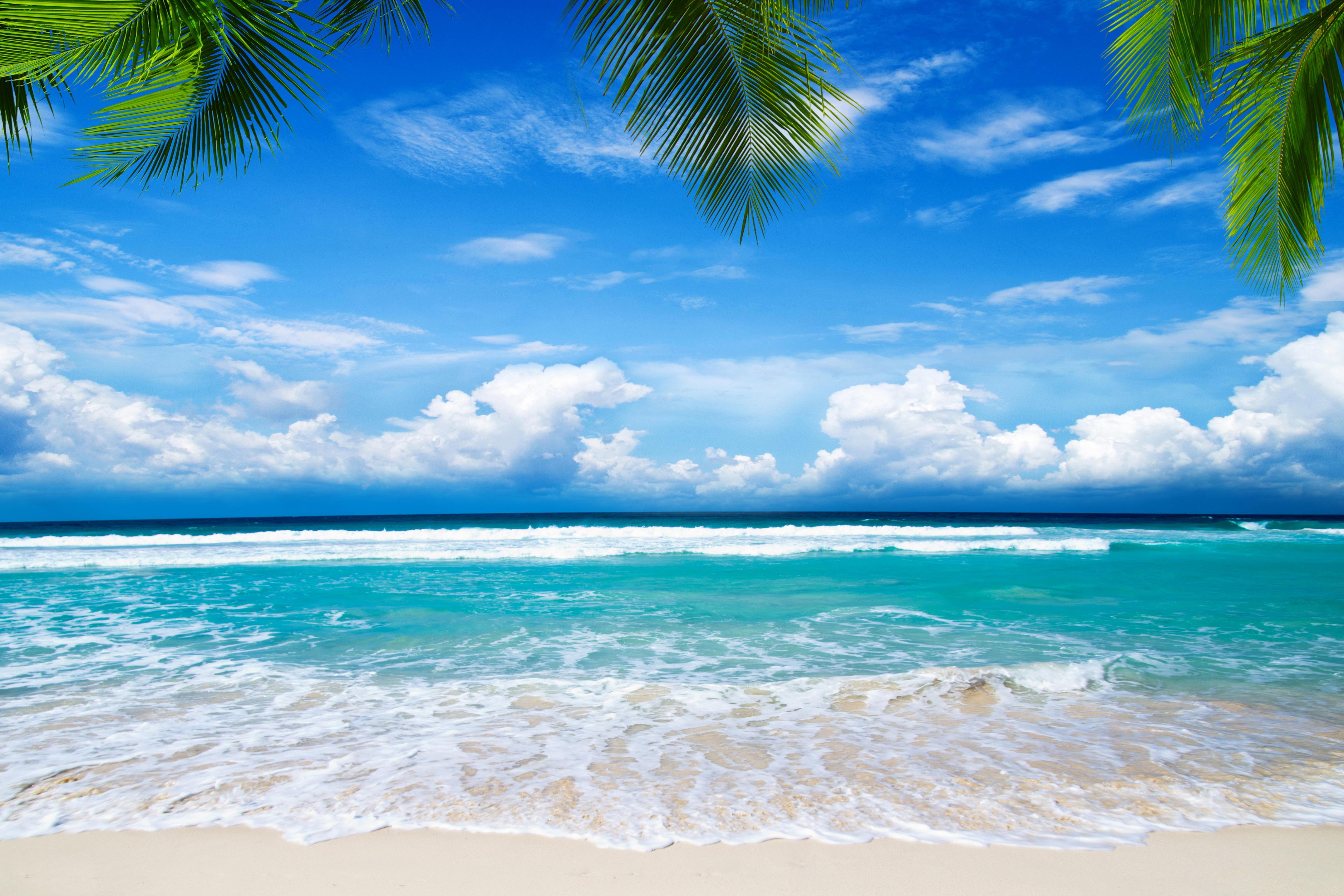 Summer Beach Paradise Wallpapers Top Free Summer Beach Paradise Backgrounds WallpaperAccess