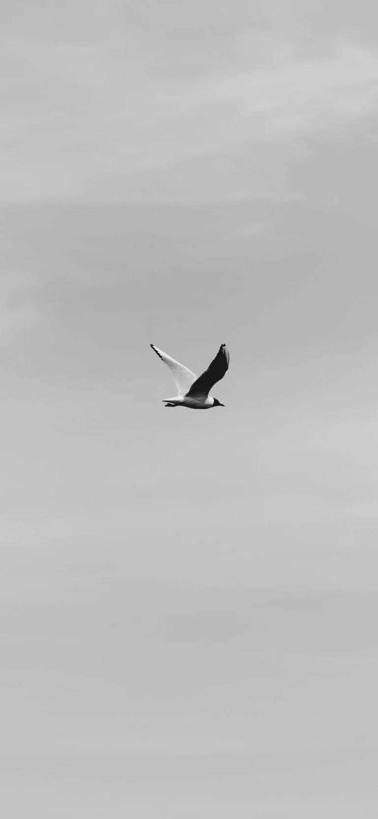 White Calm Wallpapers Top Free White Calm Backgrounds WallpaperAccess