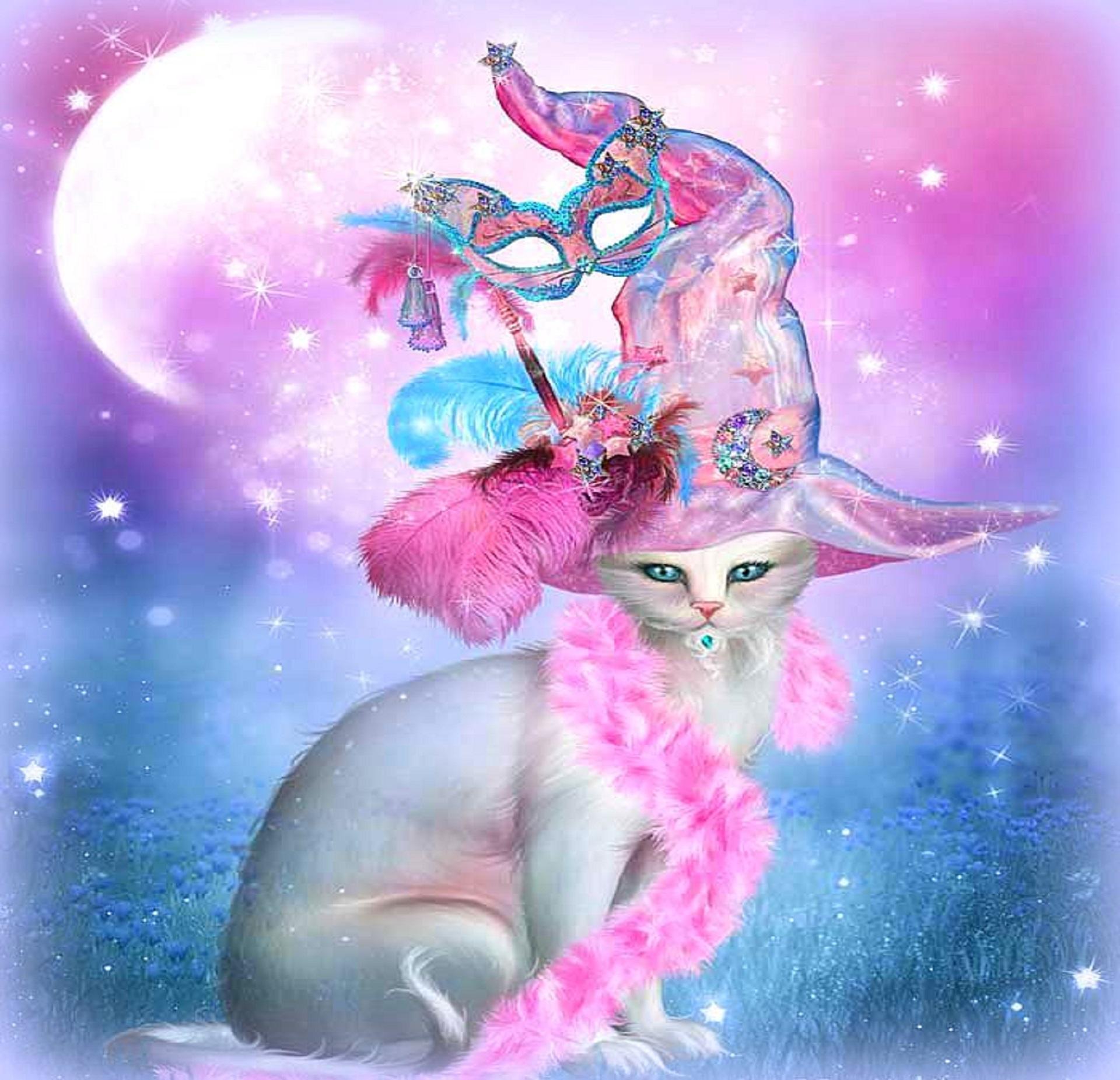 Beautiful Witch Cat Wallpapers Top Free Beautiful Witch Cat