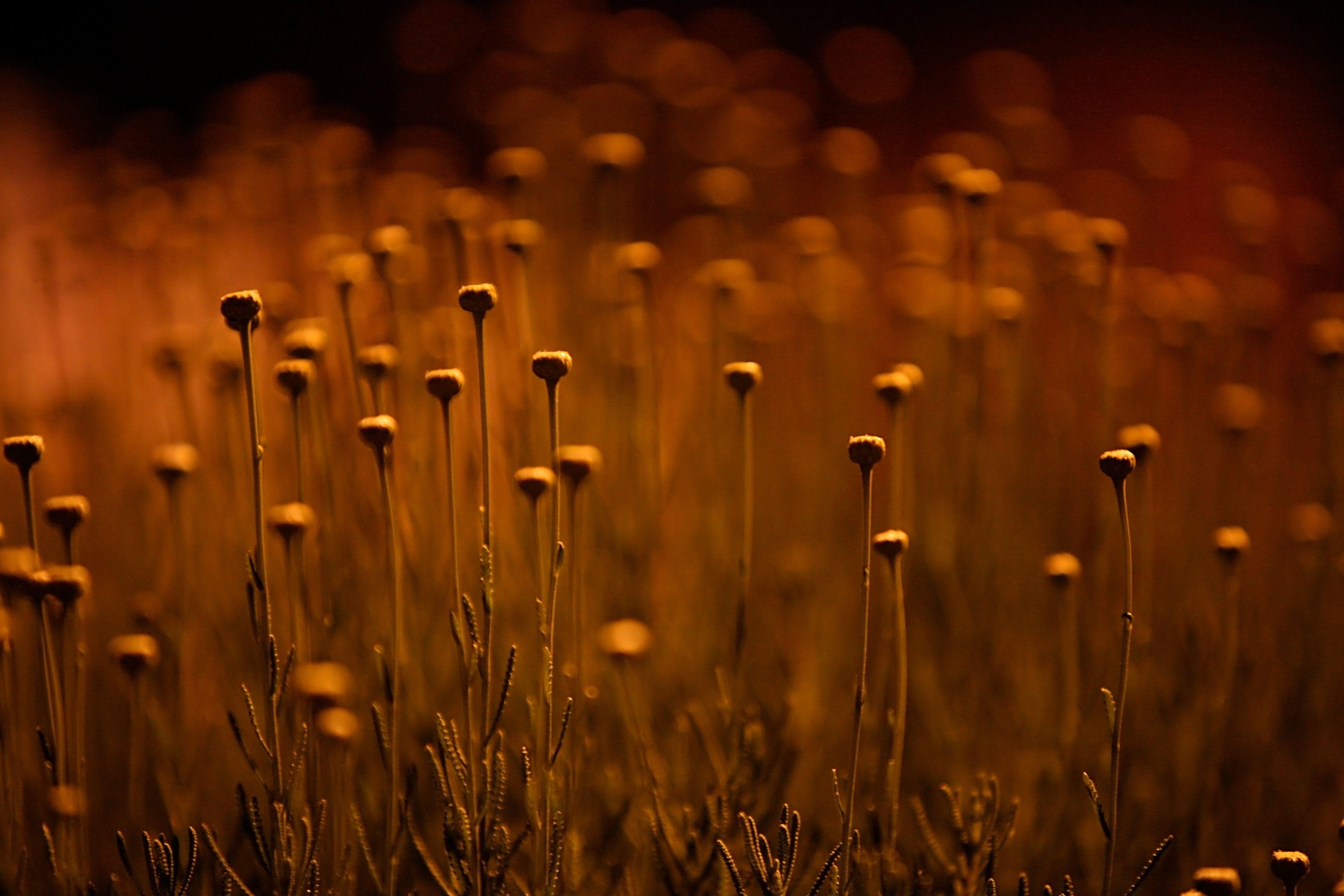 Harmony Wallpapers Top Free Harmony Backgrounds WallpaperAccess