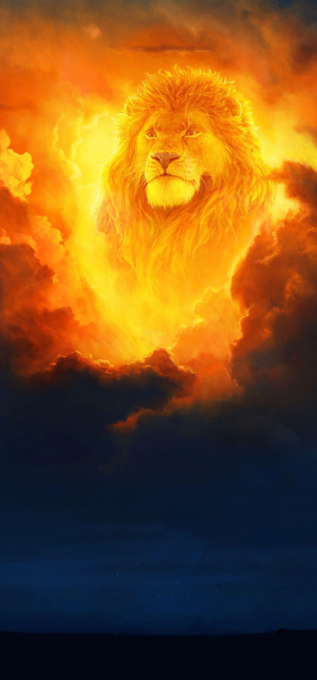 Mufasa Lion King Wallpapers Top Free Mufasa Lion King Backgrounds