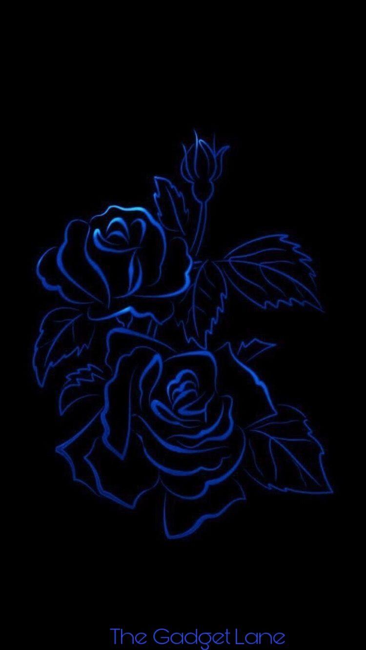 Blue Rose iPhone Wallpapers Top Free Blue Rose iPhone Backgrounds