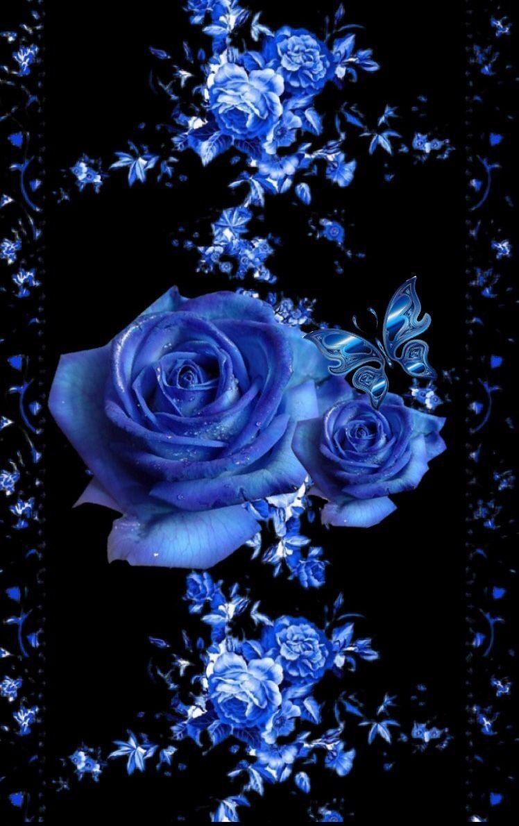 Blue Rose Garden Wallpapers Top Free Blue Rose Garden Backgrounds