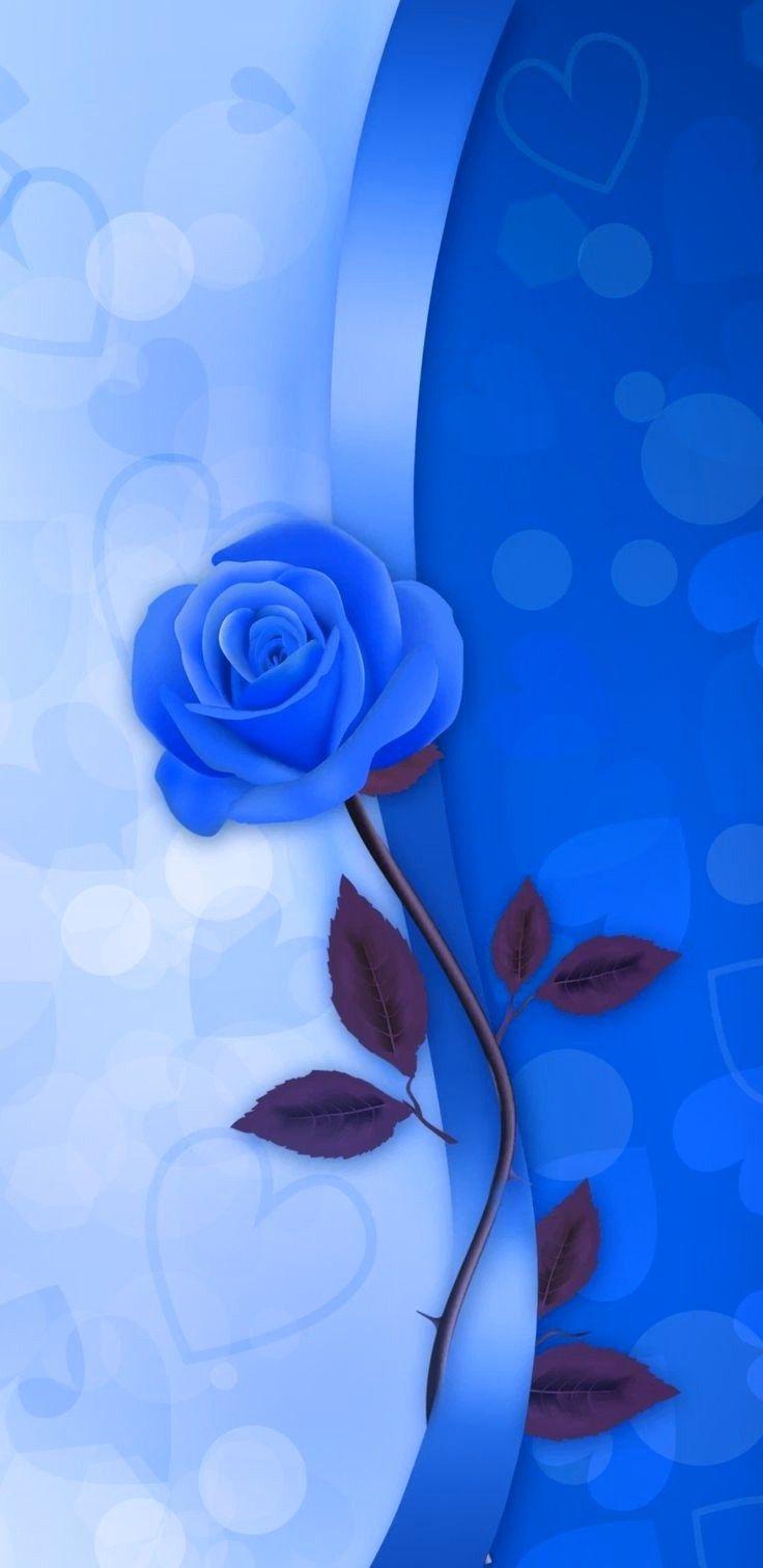 Blue Rose iPhone Wallpapers Top Free Blue Rose iPhone Backgrounds