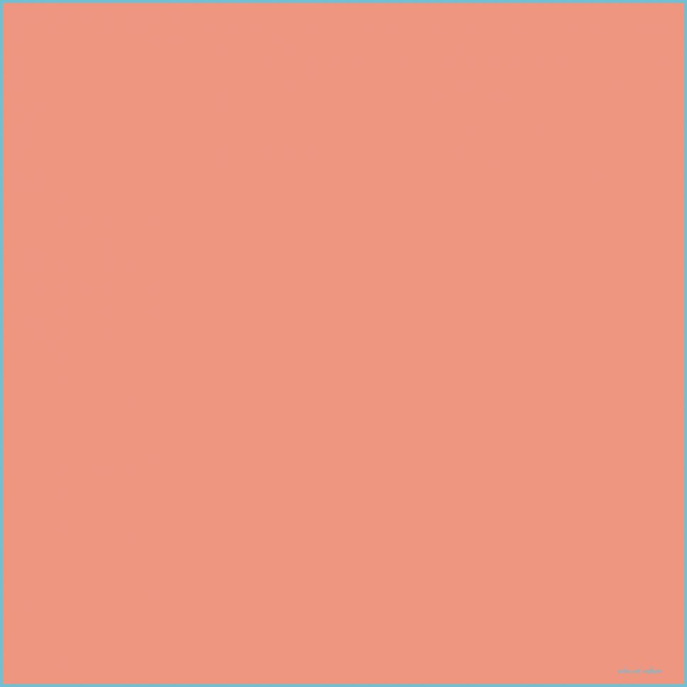 Salmon Pink Wallpapers Top Free Salmon Pink Backgrounds WallpaperAccess
