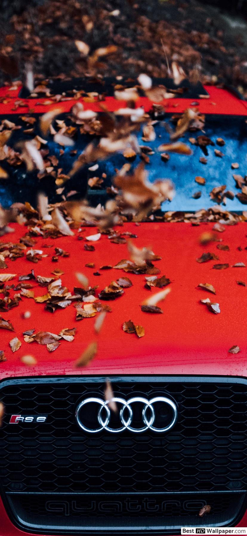 Audi iPhone XR Wallpapers Top Free Audi iPhone XR Backgrounds