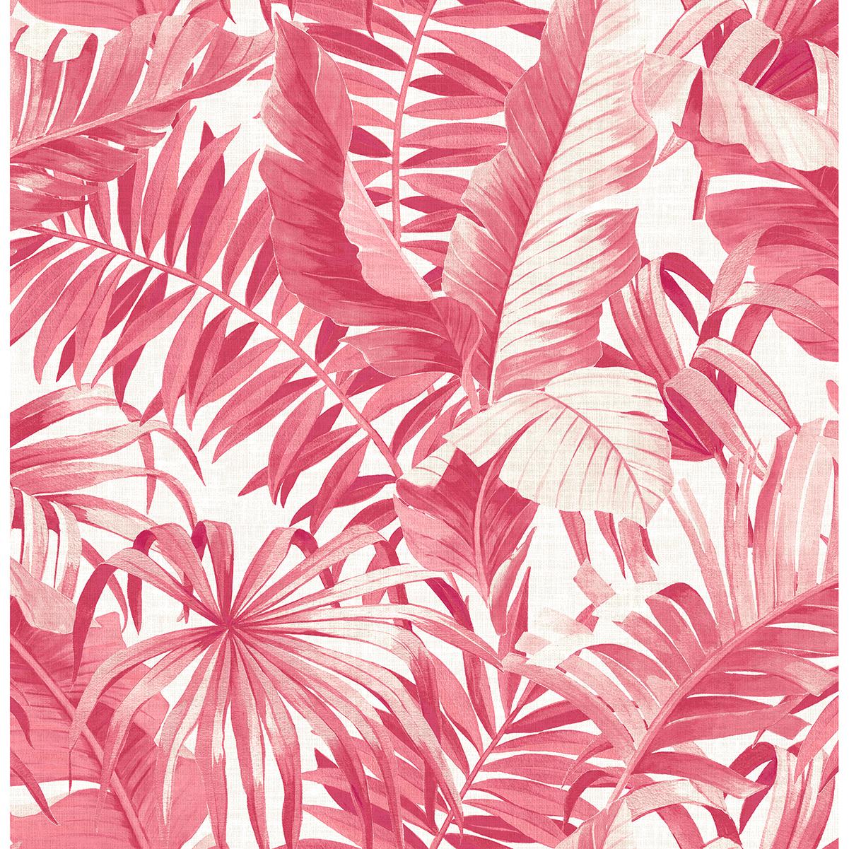 Pink Tropical Wallpapers Top Free Pink Tropical Backgrounds