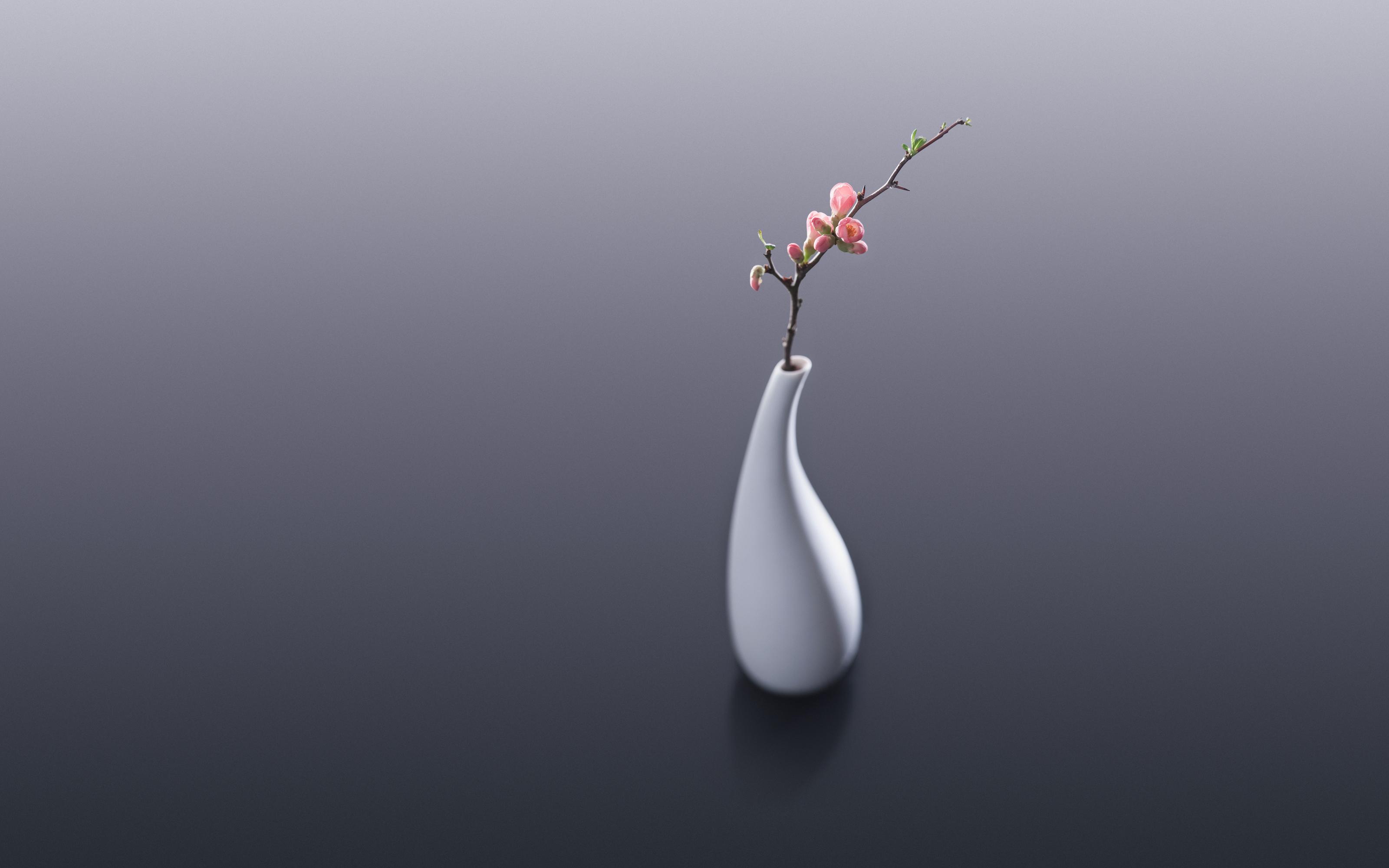 Flower Vase Wallpapers Top Free Flower Vase Backgrounds WallpaperAccess