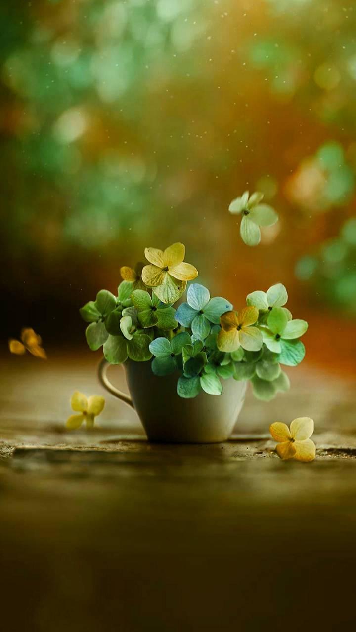 Flower Vase Wallpapers Top Free Flower Vase Backgrounds WallpaperAccess