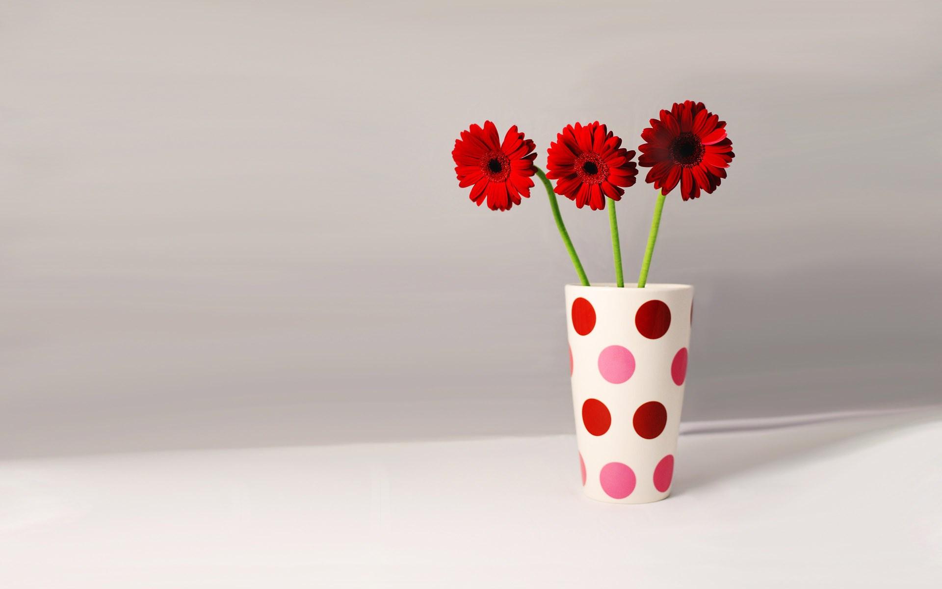 Flower Vase Wallpapers Top Free Flower Vase Backgrounds WallpaperAccess