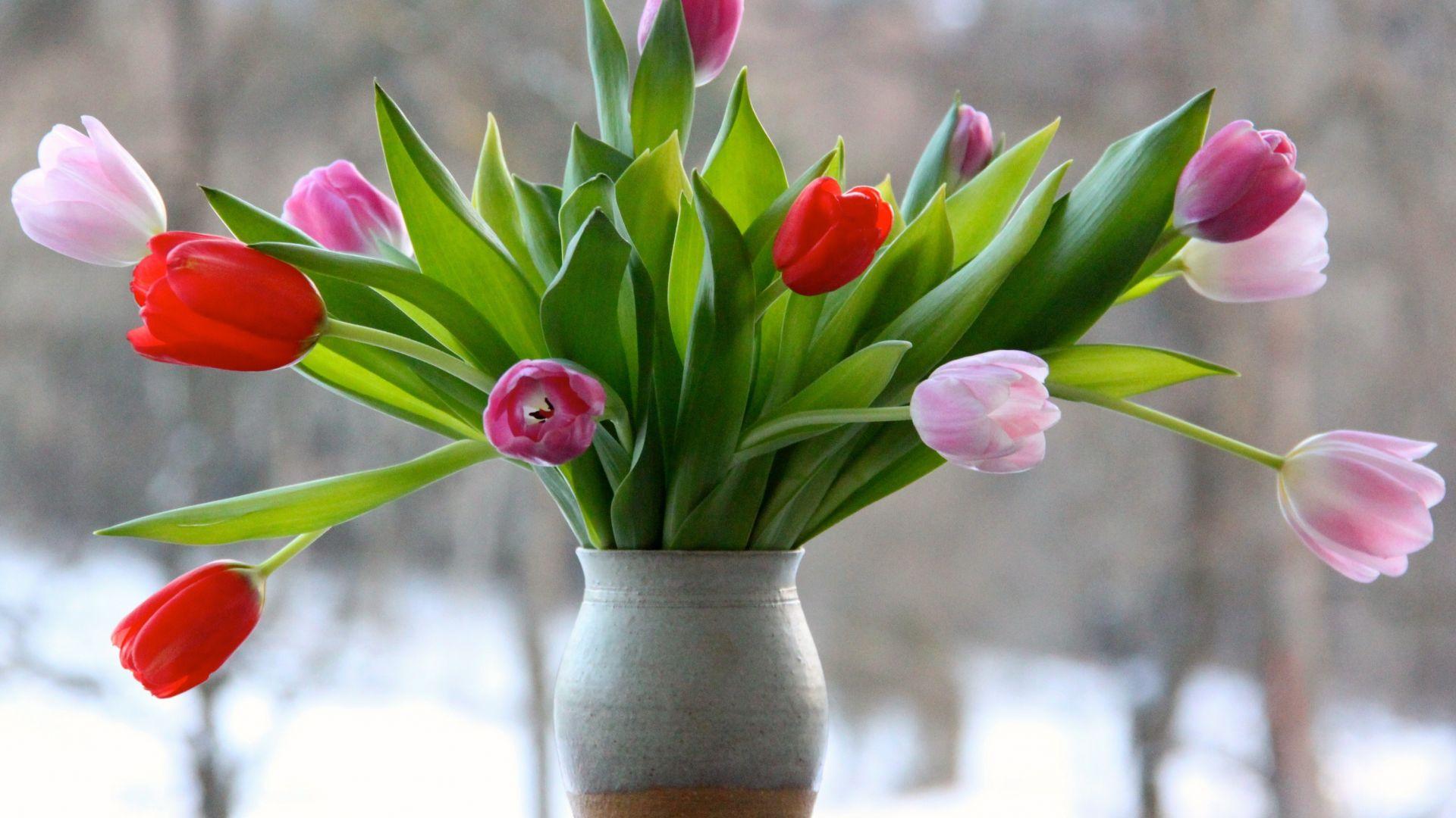 Flower Vase Desktop Wallpapers Top Free Flower Vase Desktop