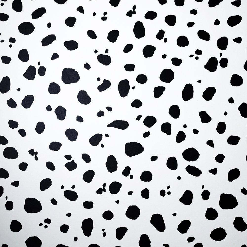 Dalmatian Print Wallpapers Top Free Dalmatian Print Backgrounds WallpaperAccess