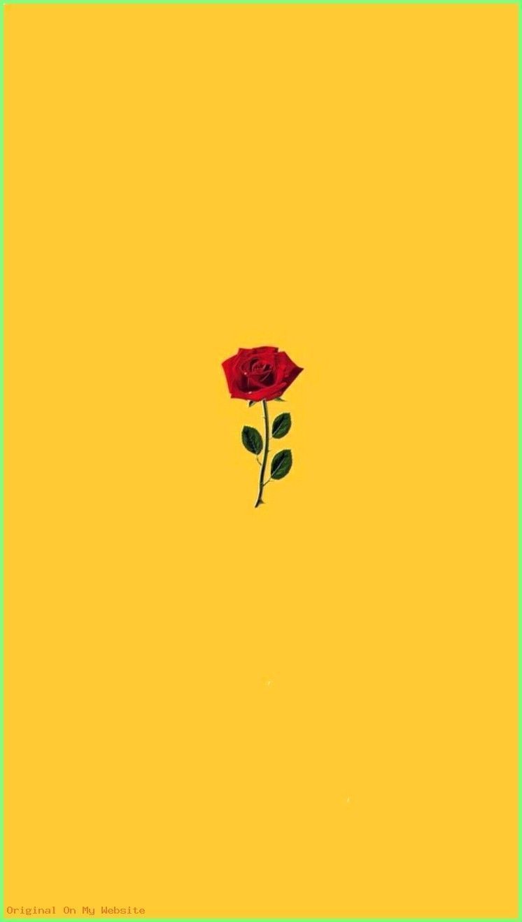 iPhone 11 Yellow Wallpapers Top Free iPhone 11 Yellow Backgrounds