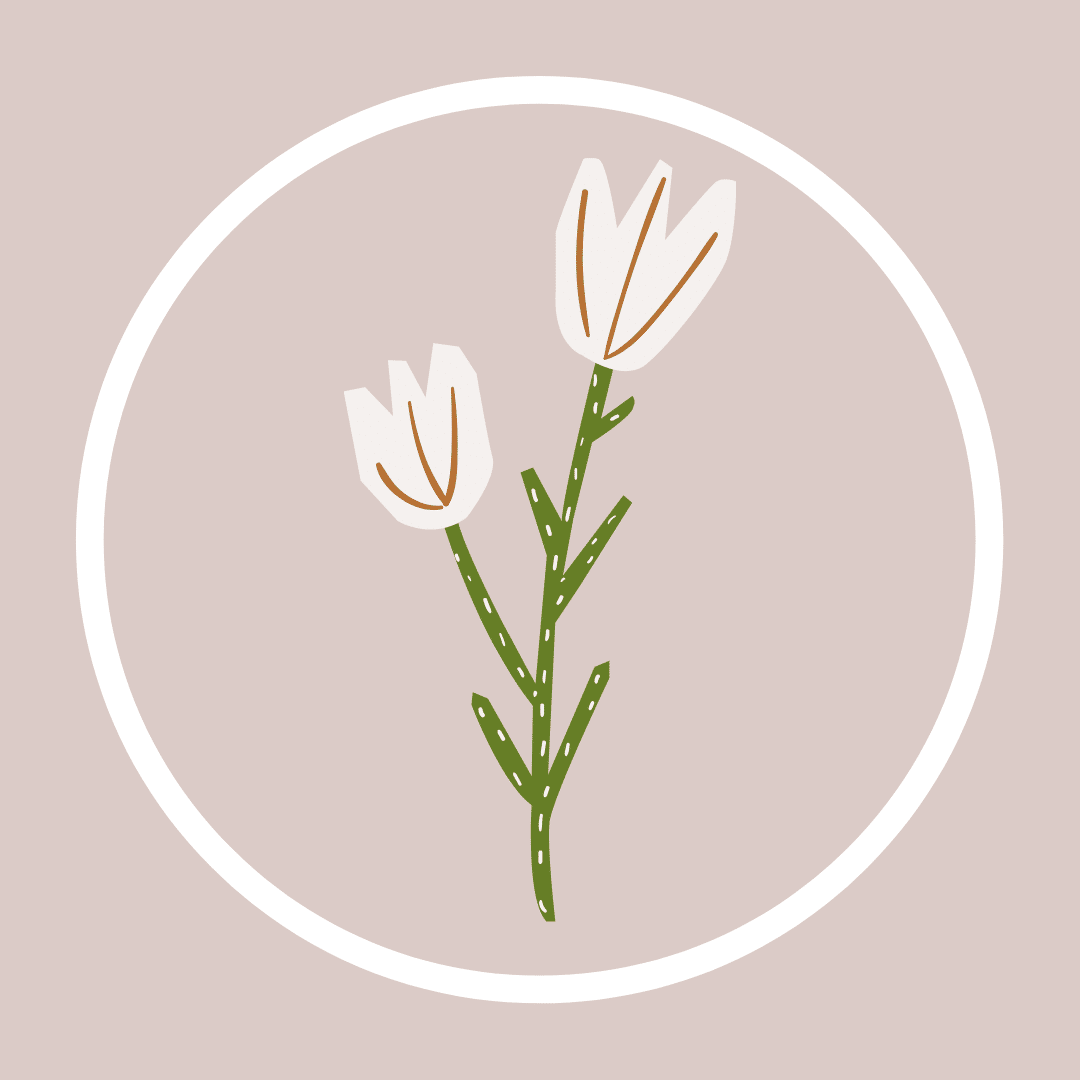 Highlight Wallpapers Top Free Highlight Backgrounds WallpaperAccess