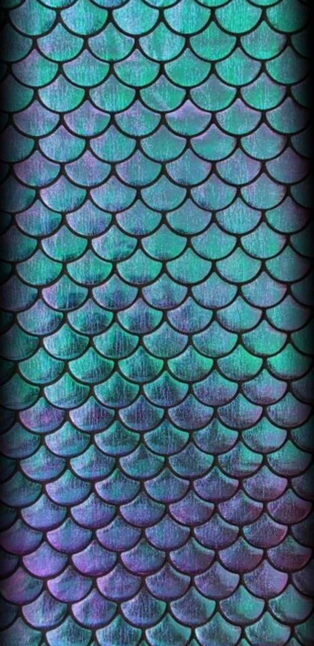 Dragon Skin Wallpapers Top Free Dragon Skin Backgrounds WallpaperAccess