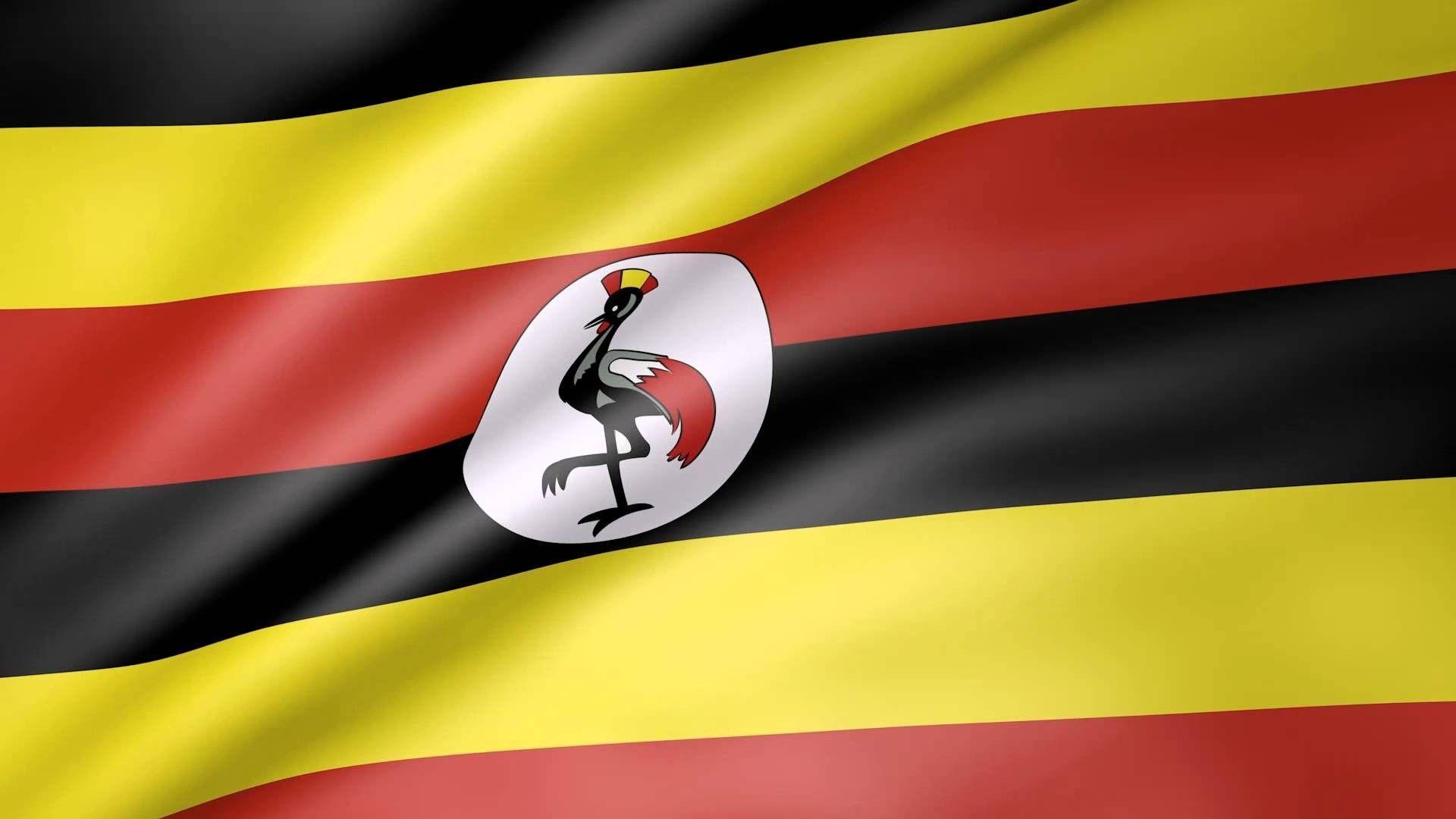 Uganda Flag Wallpapers Top Free Uganda Flag Backgrounds WallpaperAccess