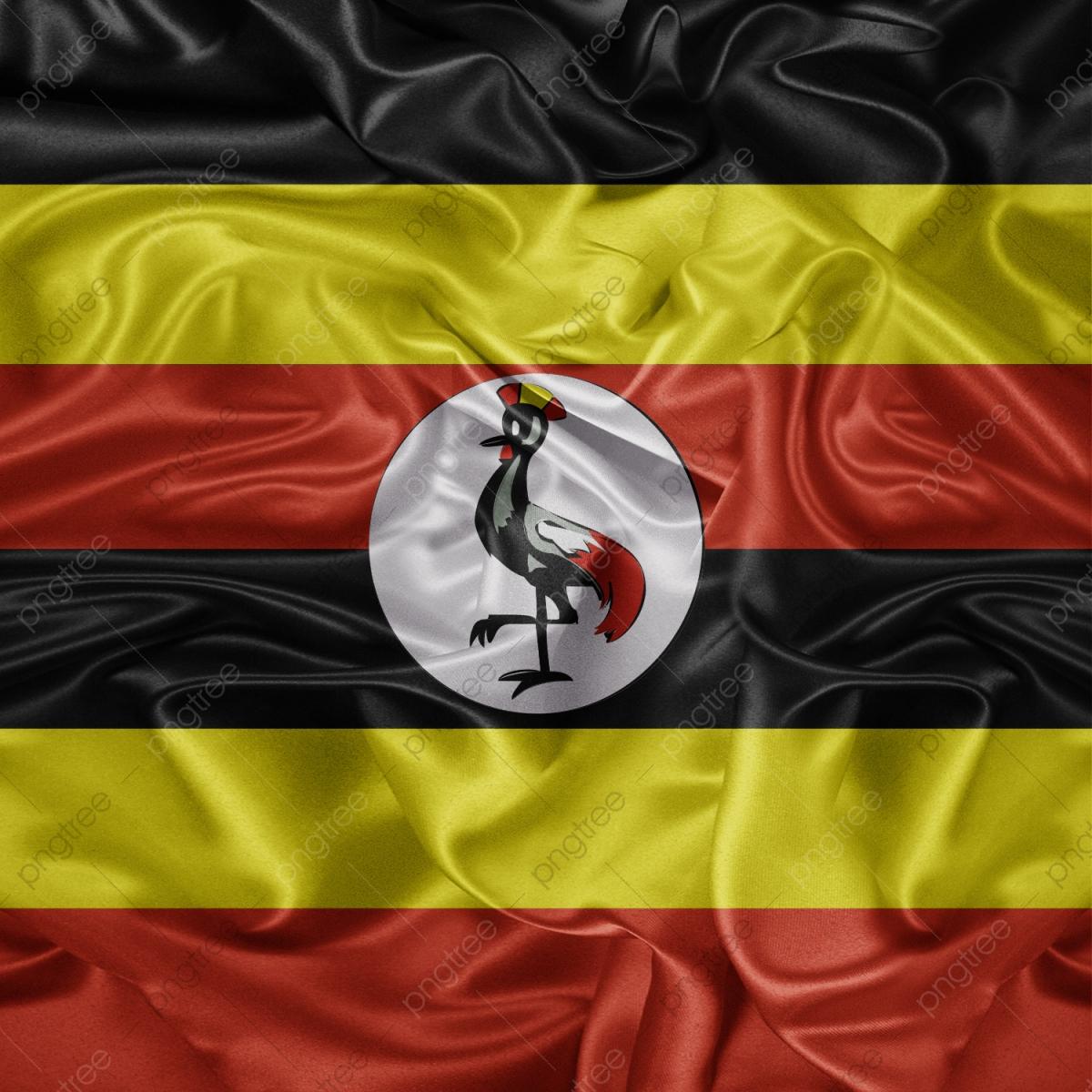 Uganda Flag Wallpapers Top Free Uganda Flag Backgrounds WallpaperAccess