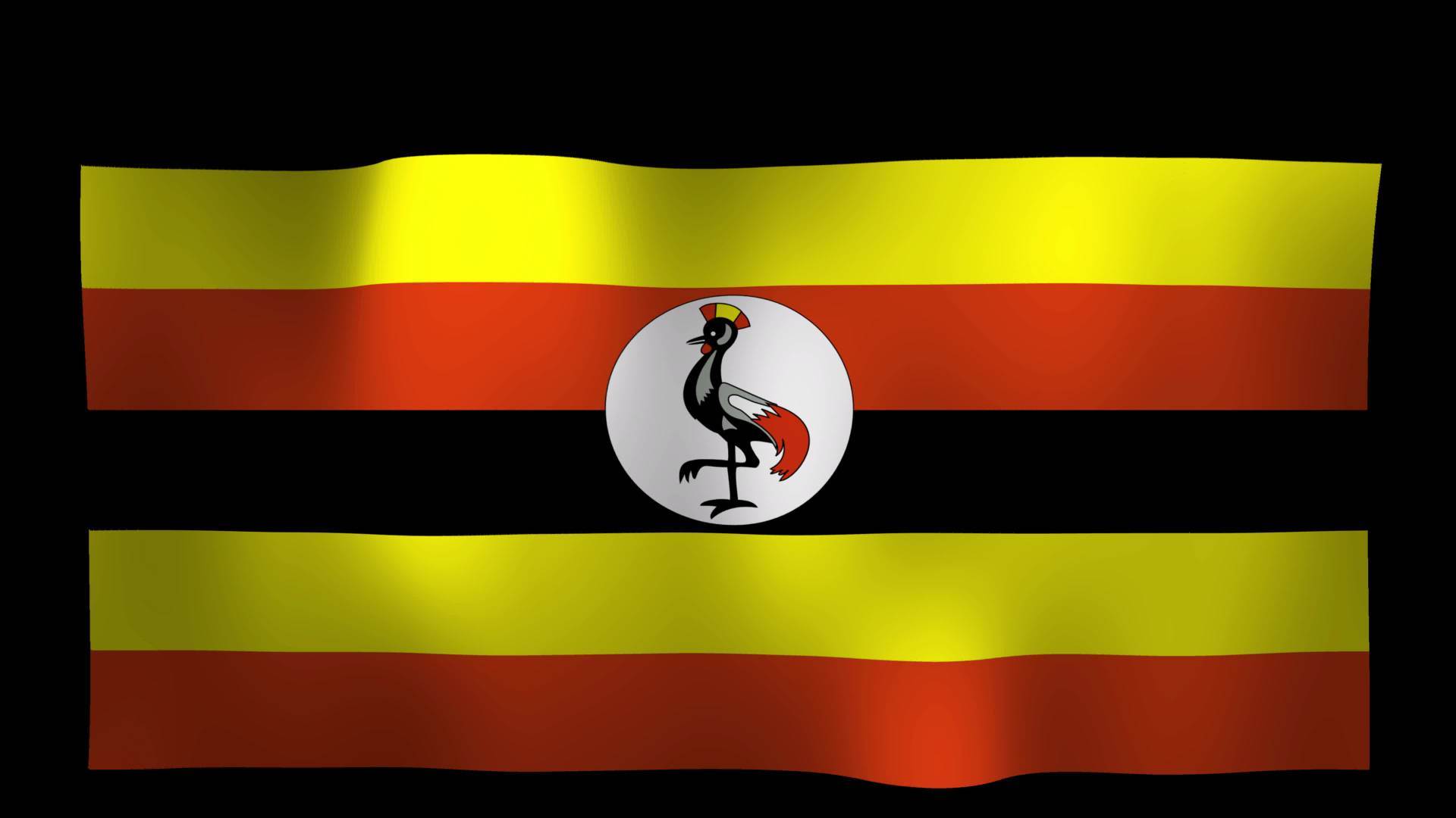 Uganda Flag Wallpapers Top Free Uganda Flag Backgrounds WallpaperAccess