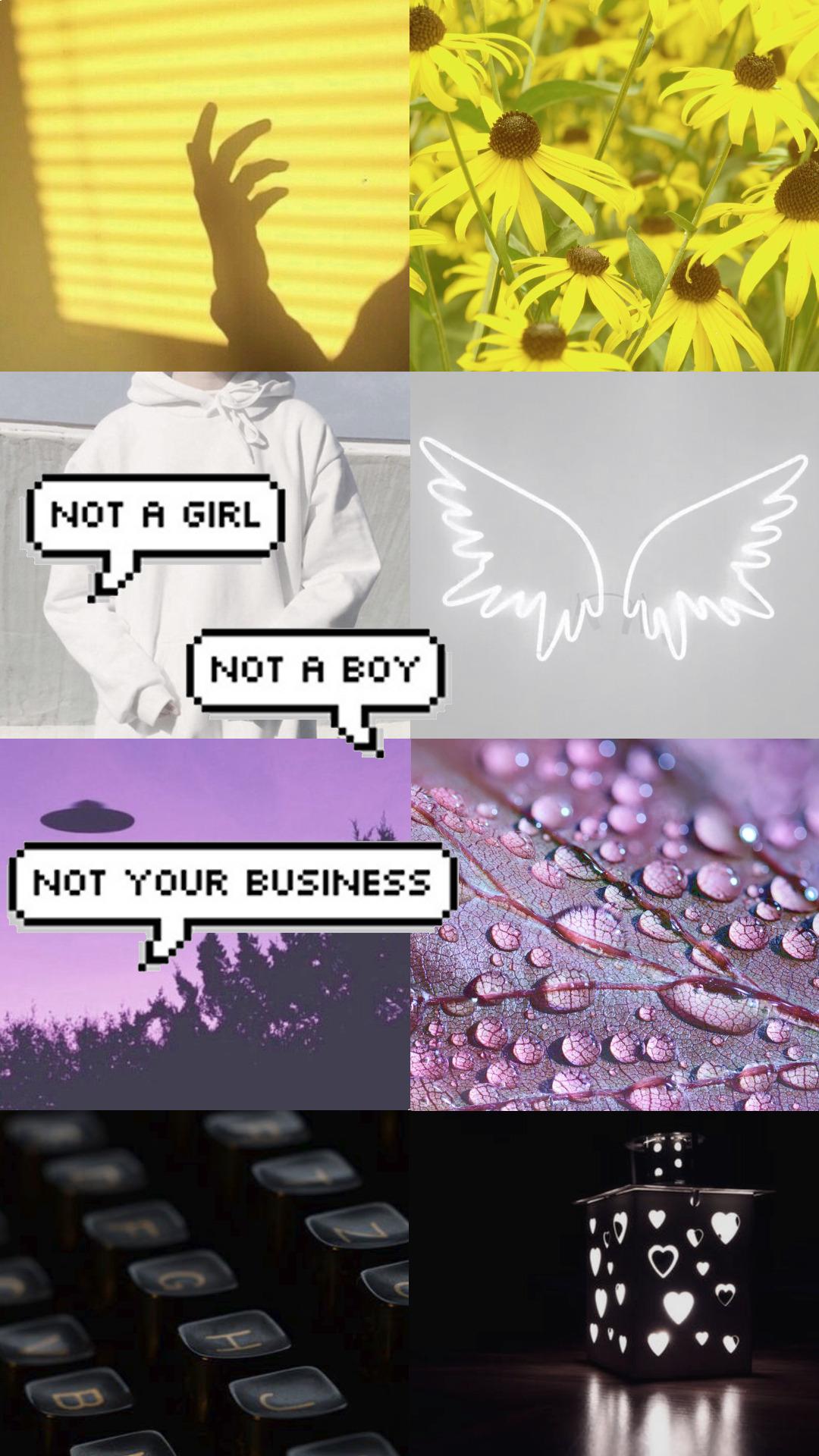 Non Binary Wallpapers Top Free Non Binary Backgrounds WallpaperAccess