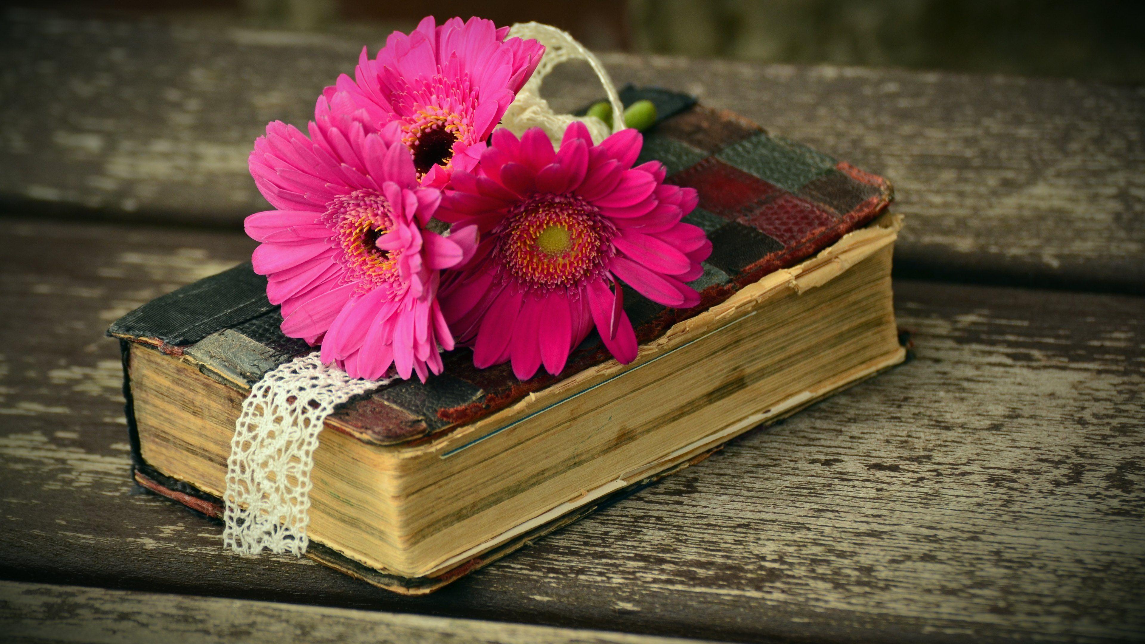 Flowers and Books Wallpapers Top Free Flowers and Books Backgrounds