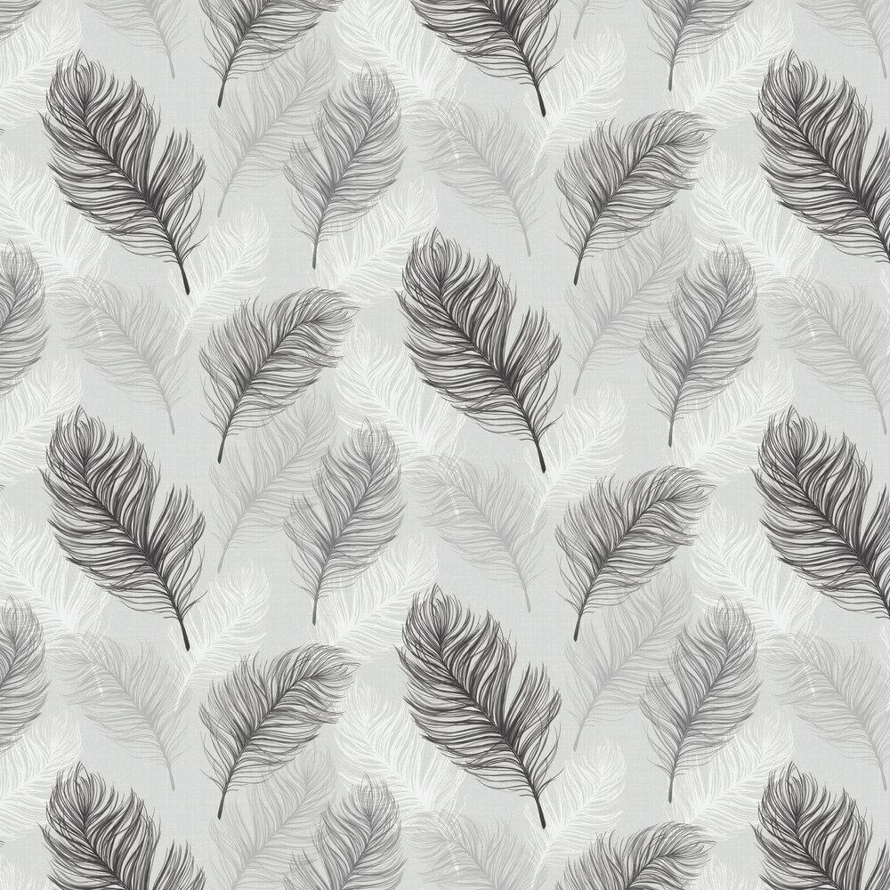 Black and White Feather Wallpapers Top Free Black and White Feather