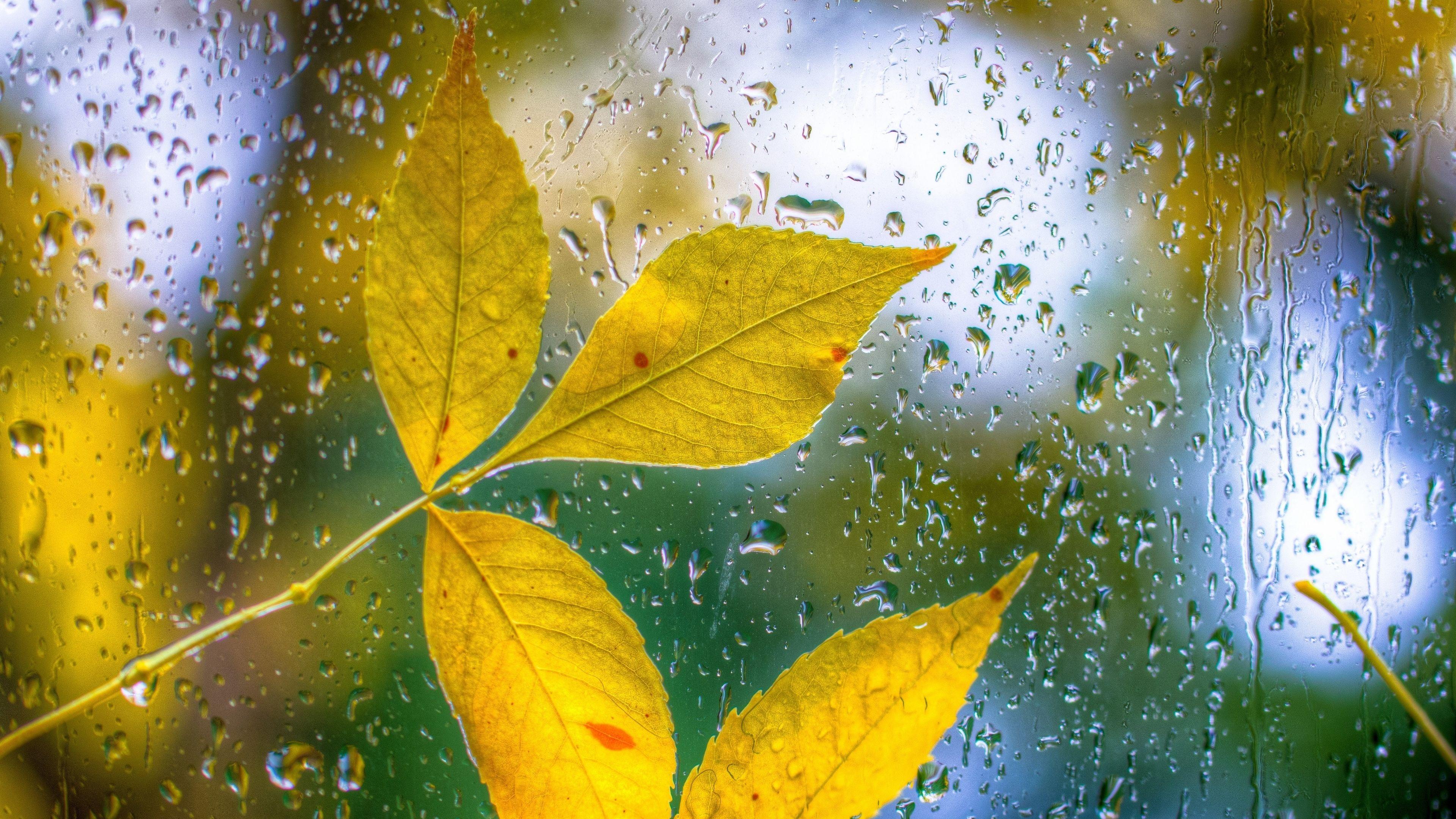 4K Glass Wallpapers Top Free 4K Glass Backgrounds WallpaperAccess