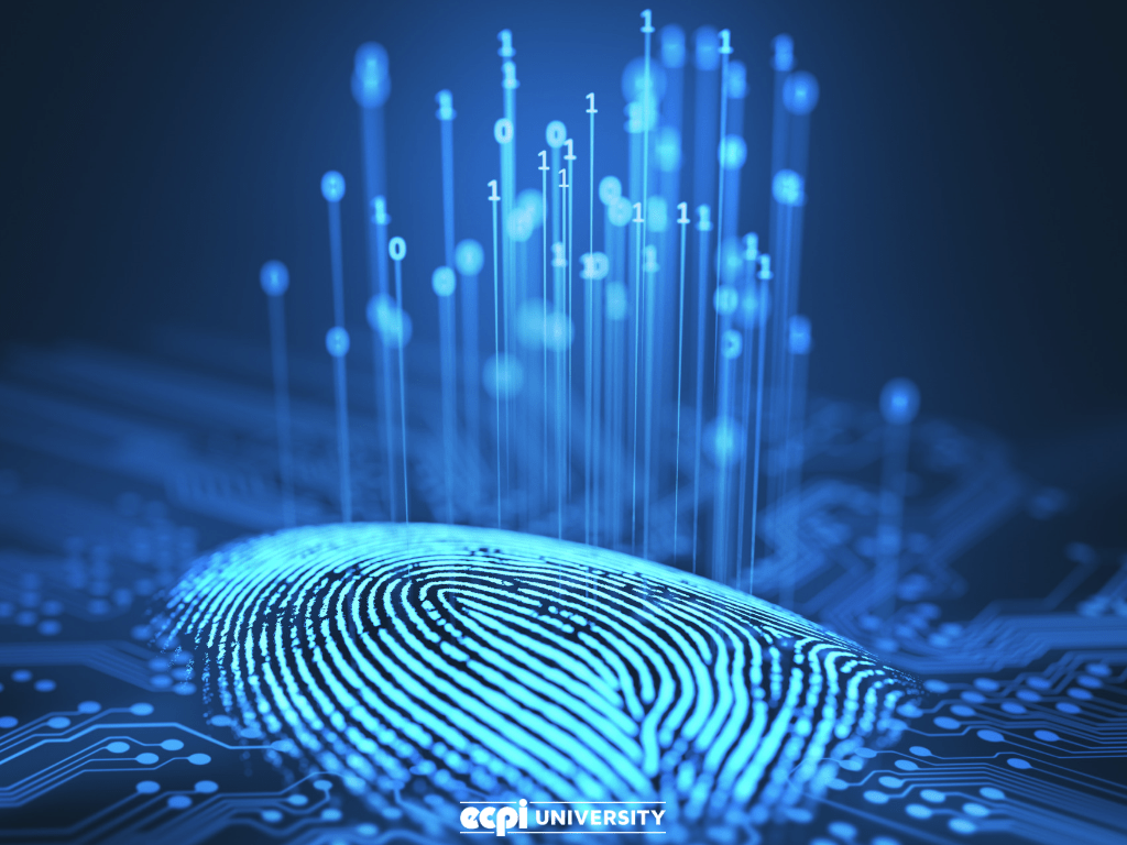Digital Forensics Wallpapers Top Free Digital Forensics Backgrounds